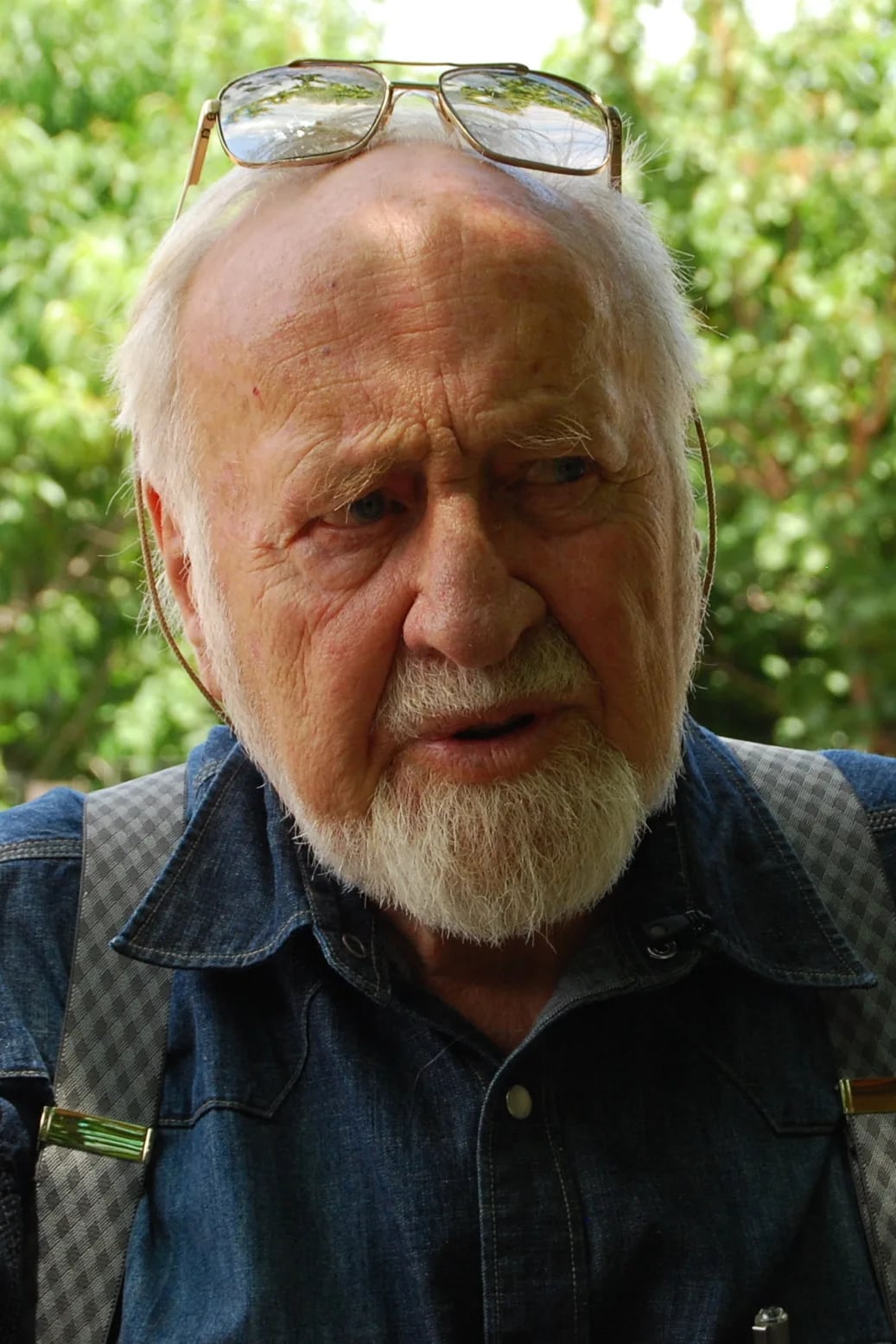 Portrait of Bill Mollison (1928–2016) – memorial page