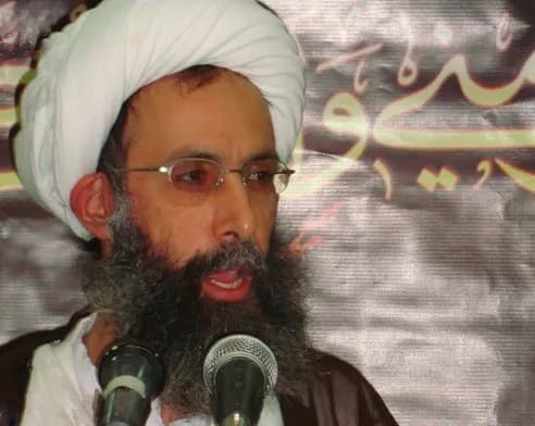 Nimr an-Nimr