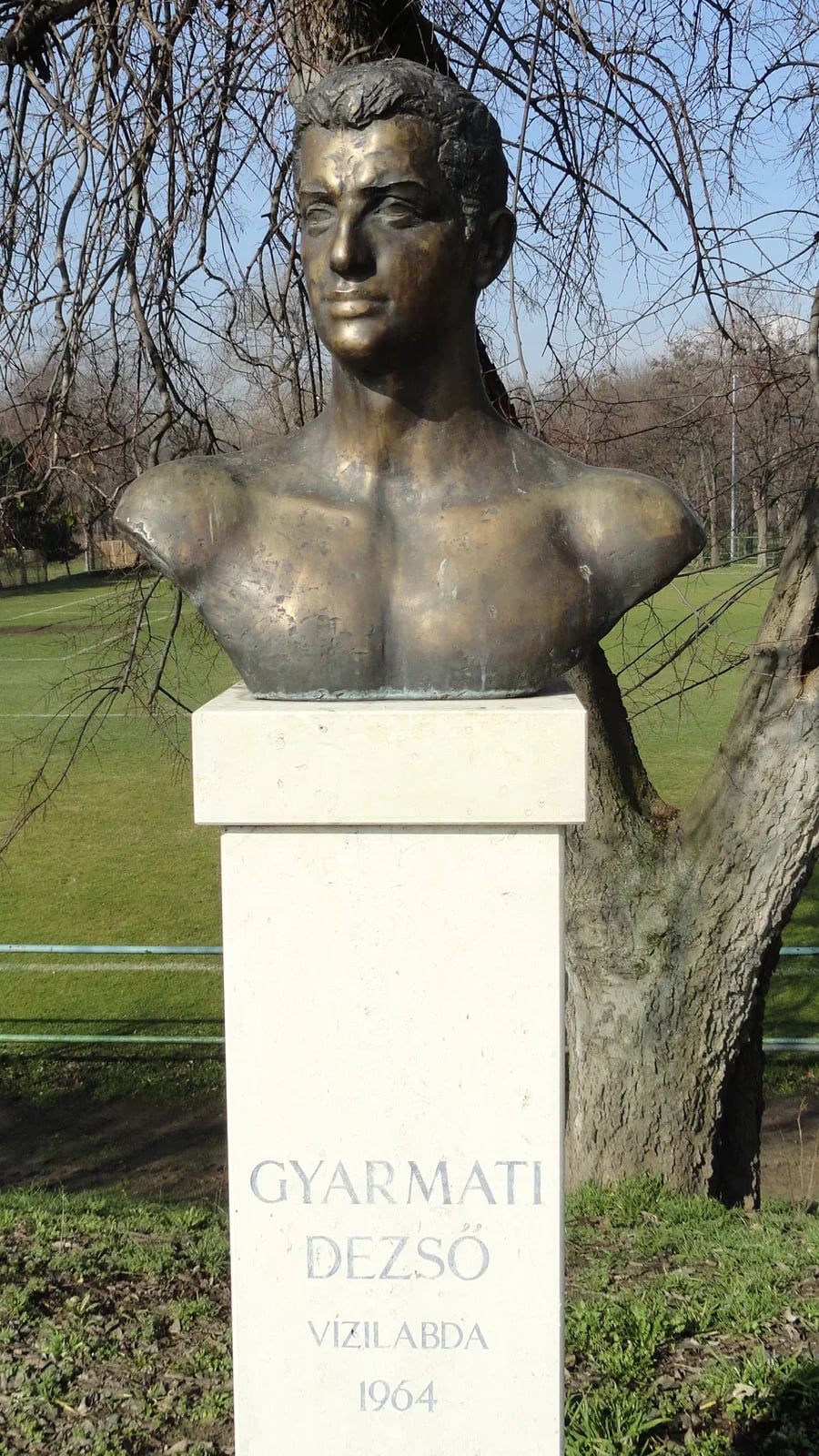 Portrait of DezsĆ Gyarmati (1927â2013) â memorial page