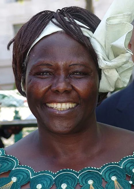 Portrait of Wangari Maathai (1940–2011) – memorial page