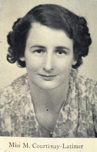 Marjorie Courtenay-Latimer (née Marjorie Eileen Doris Courtenay-Latimer)