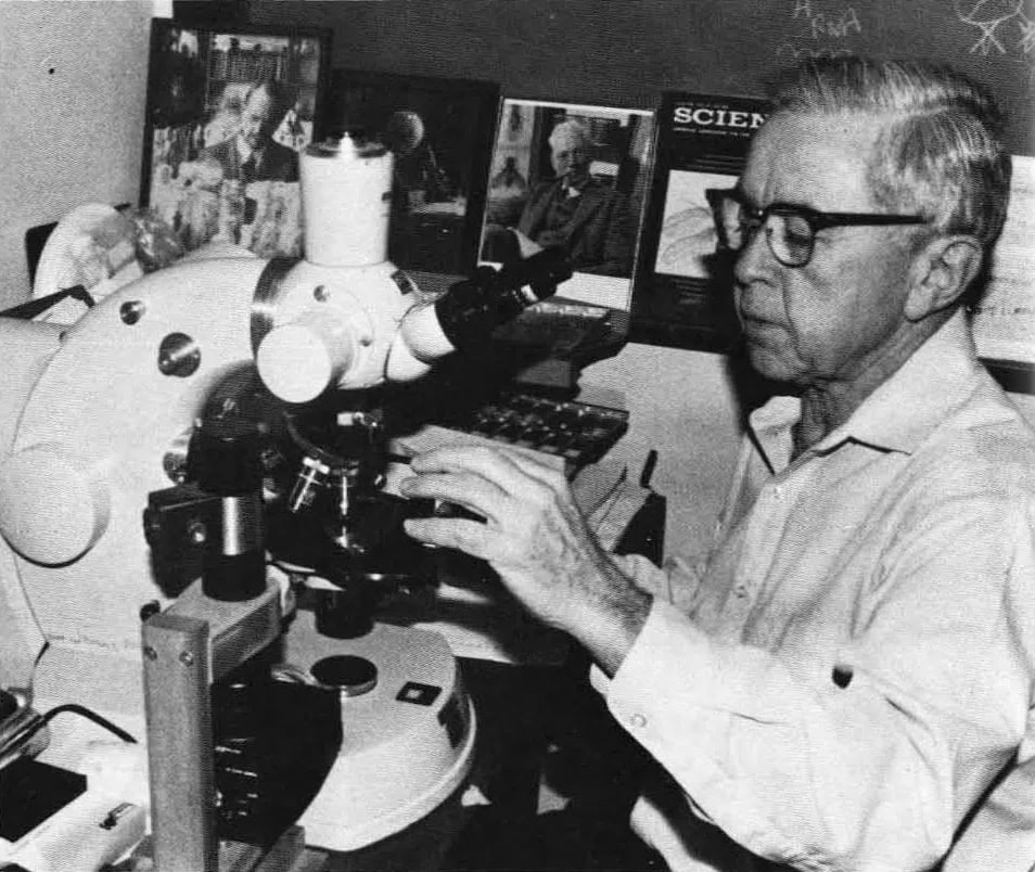 Portrait of Edward B. Lewis (1918–2004) – memorial page
