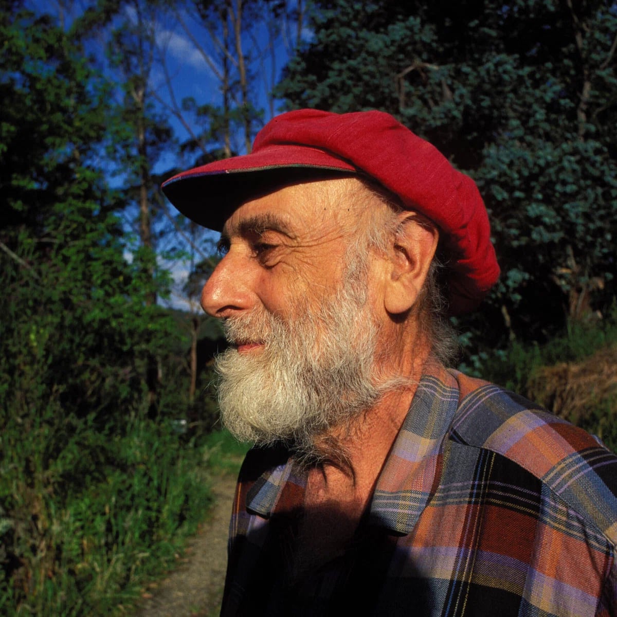 Portrait of Friedensreich Hundertwasser (1928–2000) – memorial page