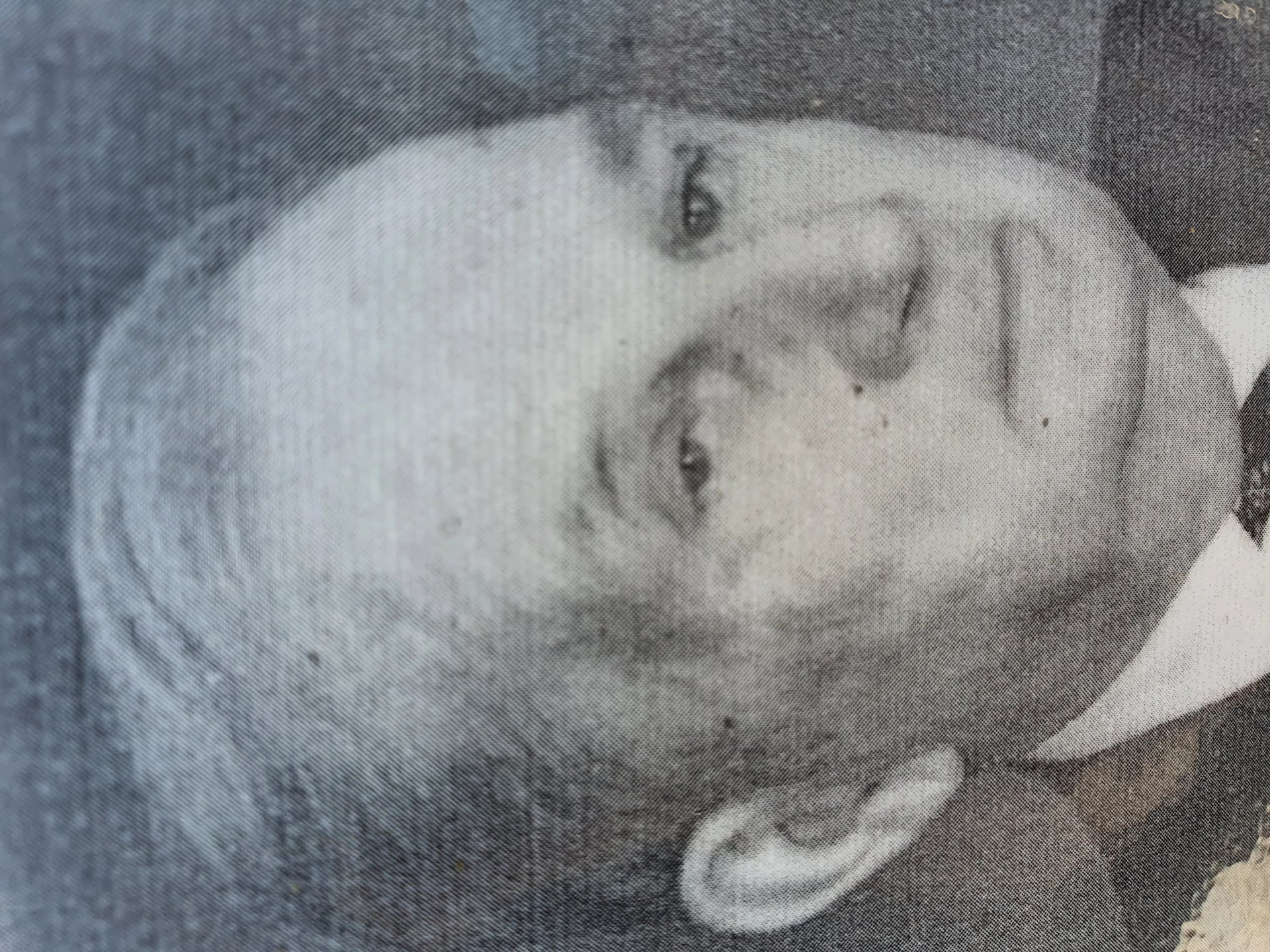 Portrait of Andon Gerov (1904–2000) – memorial page