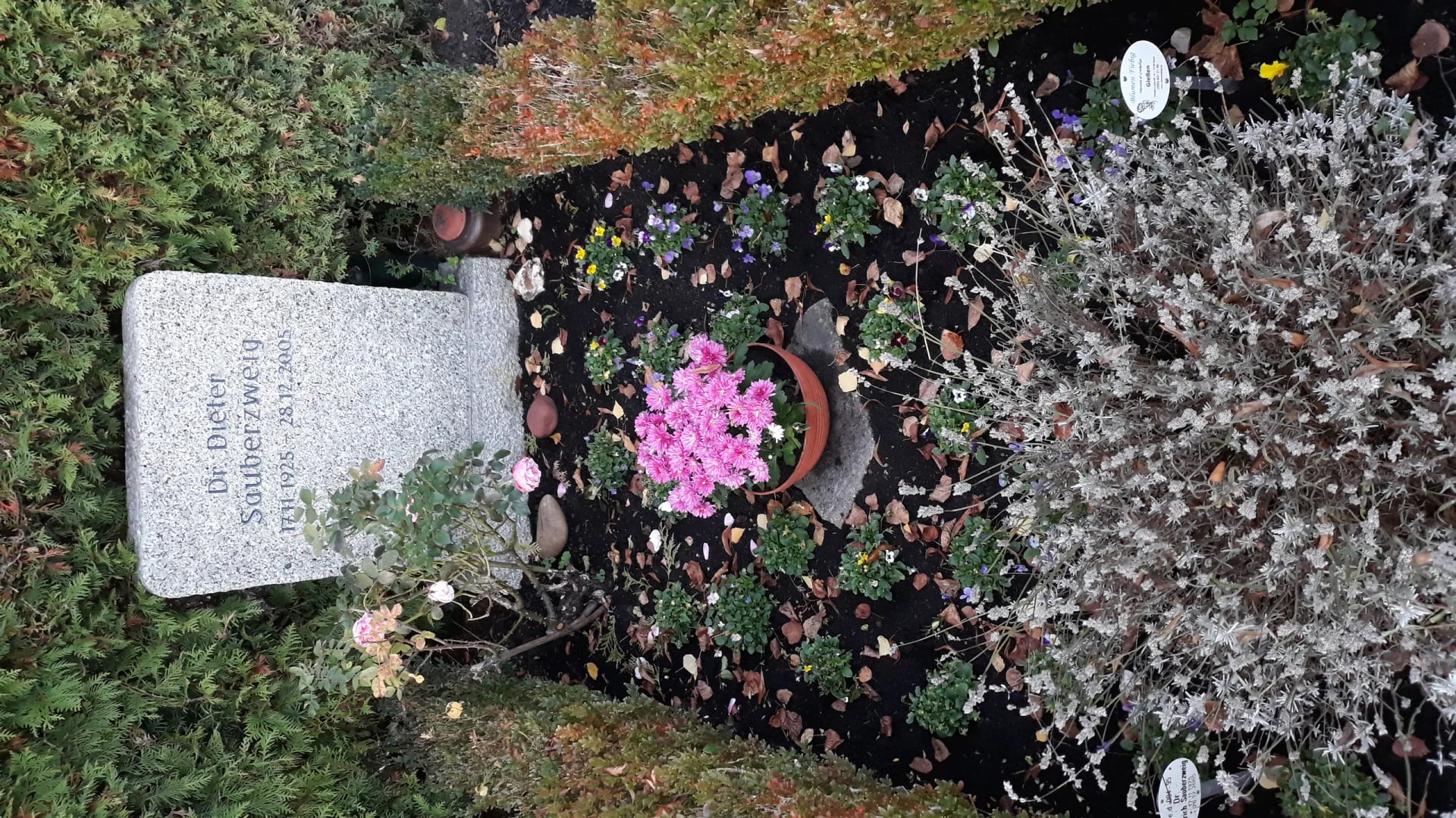 Portrait of Dieter Sauberzweig (1925–2005) – memorial page