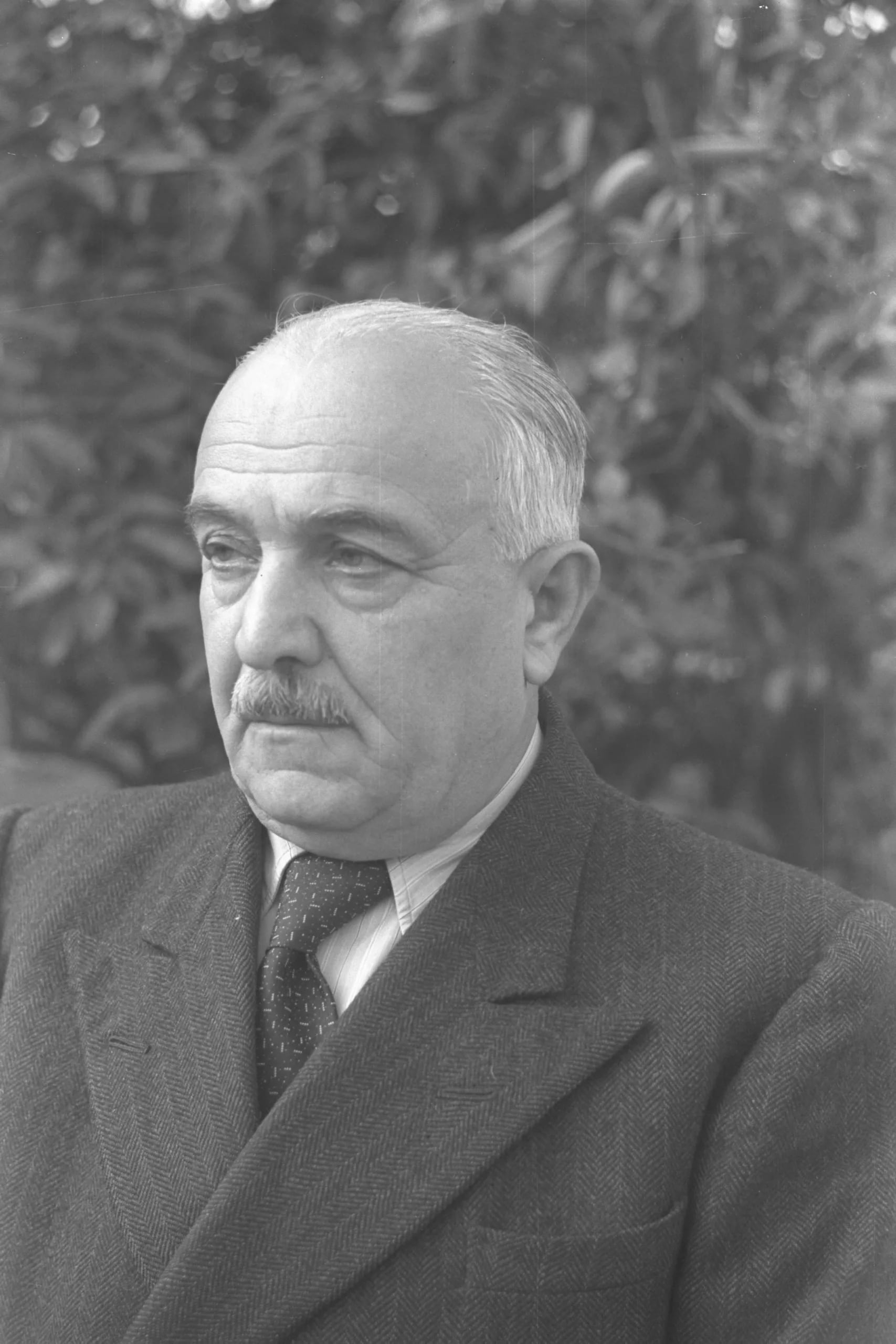 Portrait of David Remez (1886–1951) – memorial page