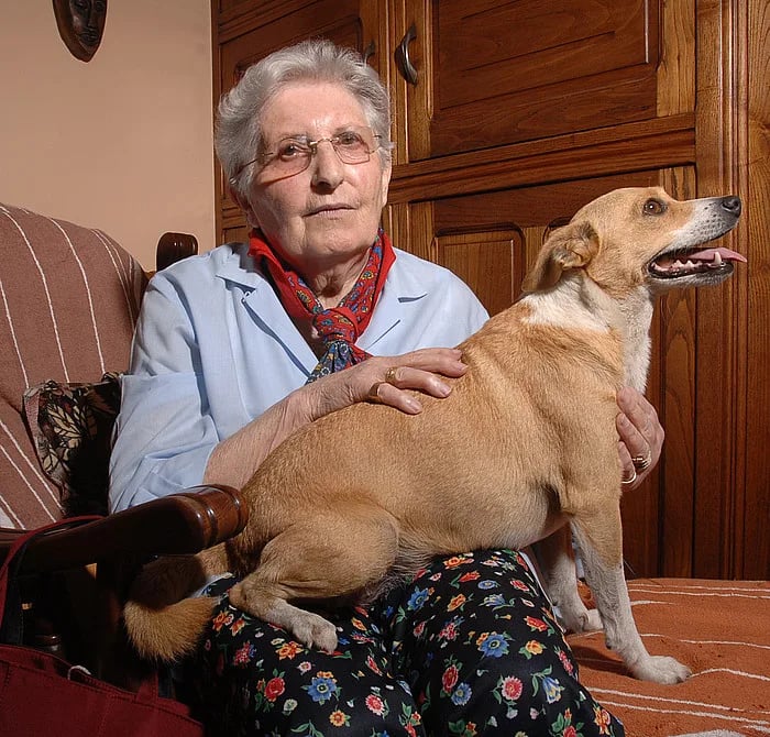 Portrait of Marijane Minaberri (1926–2017) – memorial page
