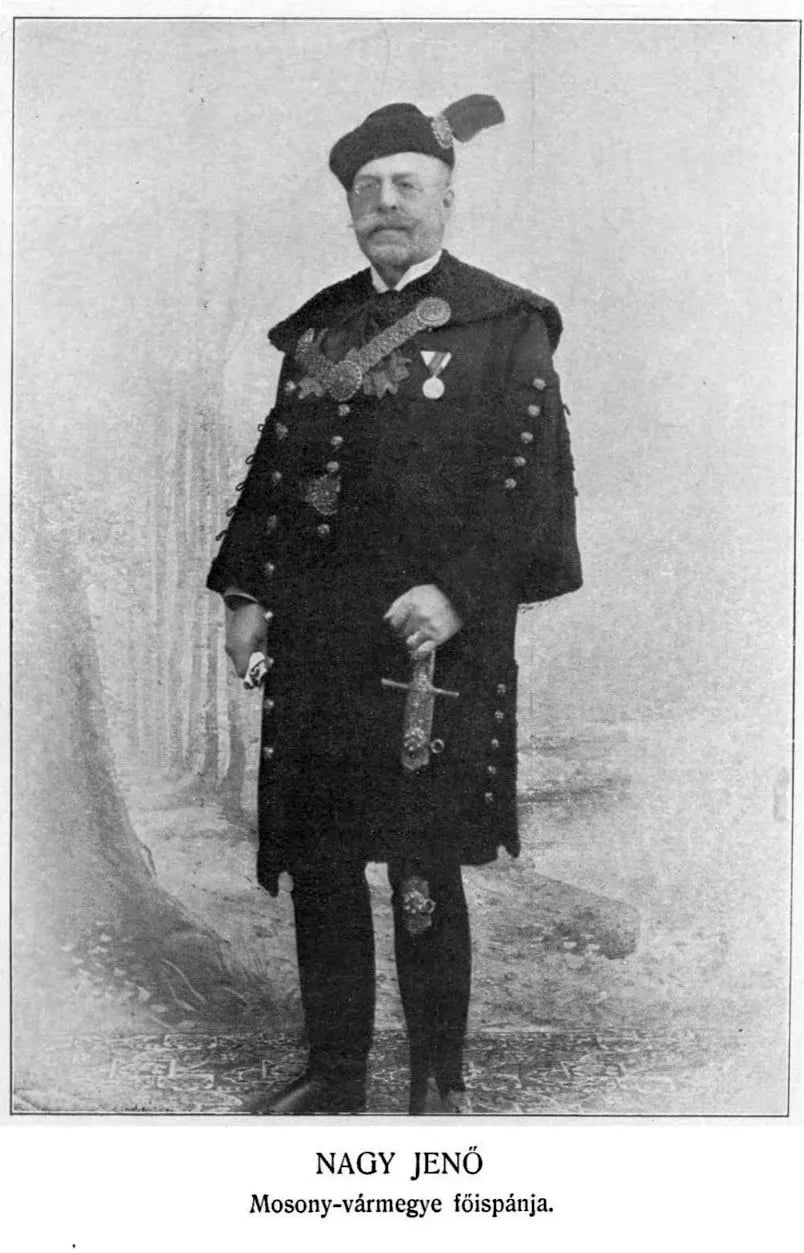 Portrait of Jenő Nagy (1842–1912) – memorial page