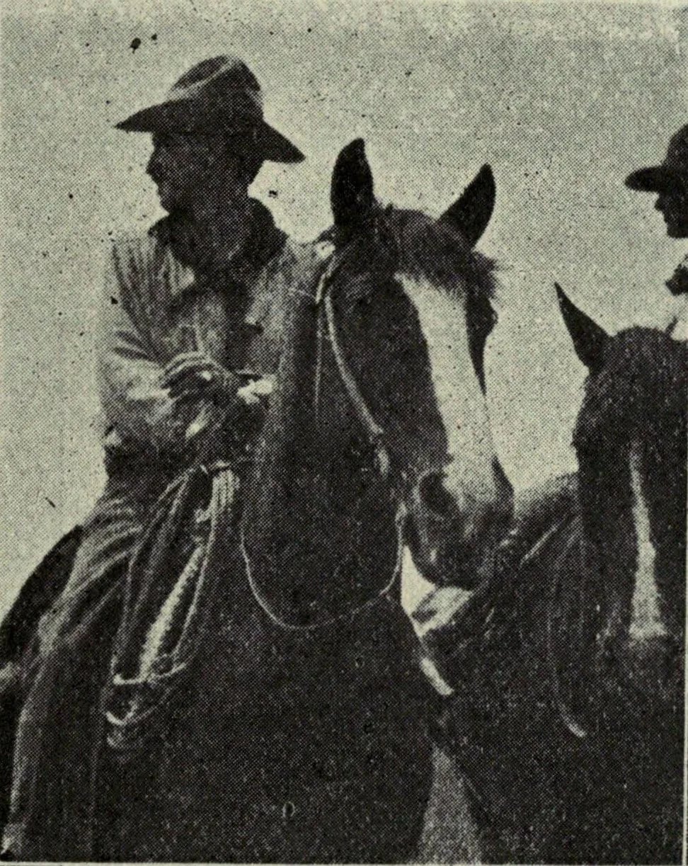 Portrait of William Penhallow Henderson (1877–1943) – memorial page
