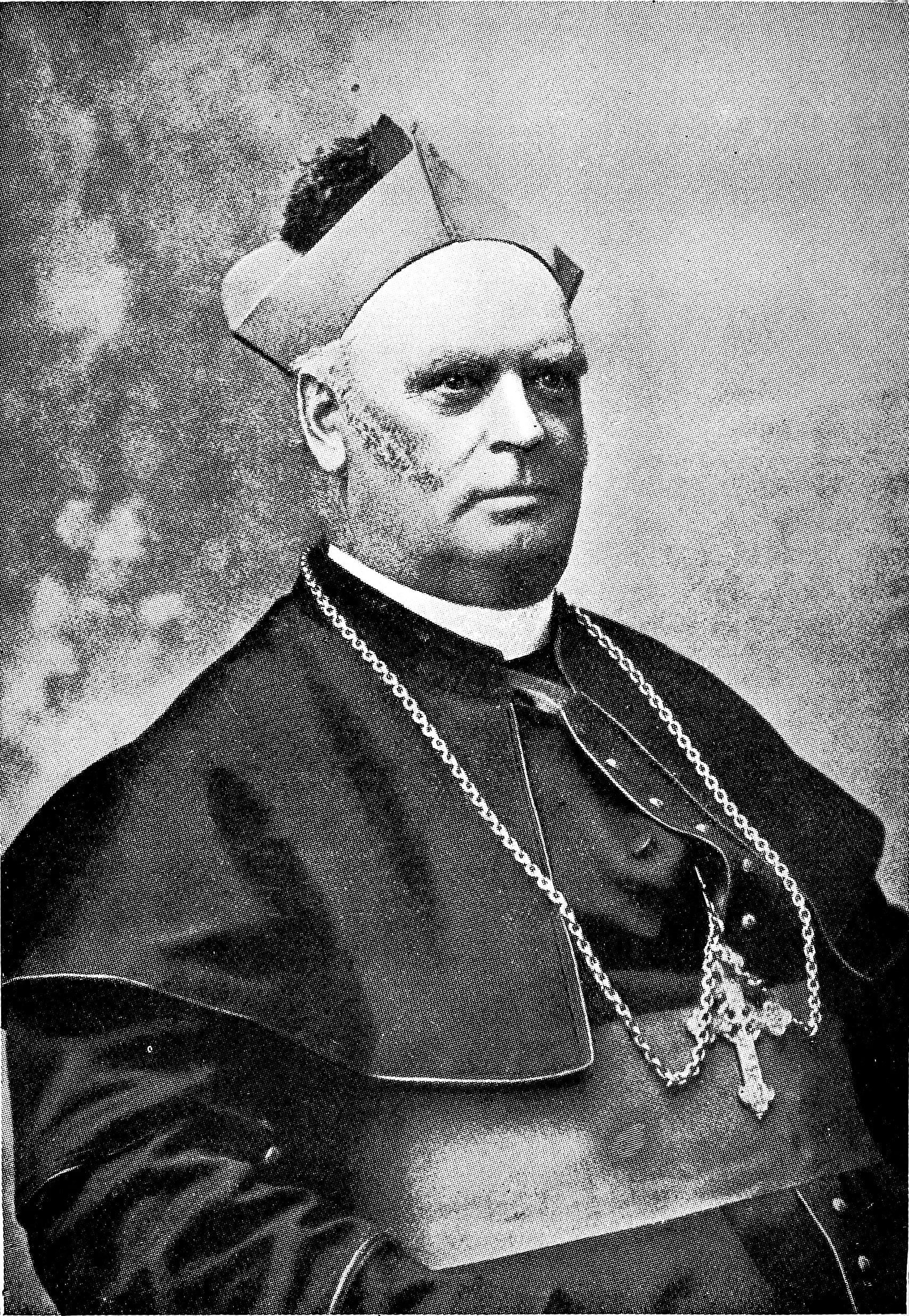 Porträt von John Healy (1841–1918) – Gedenkseite