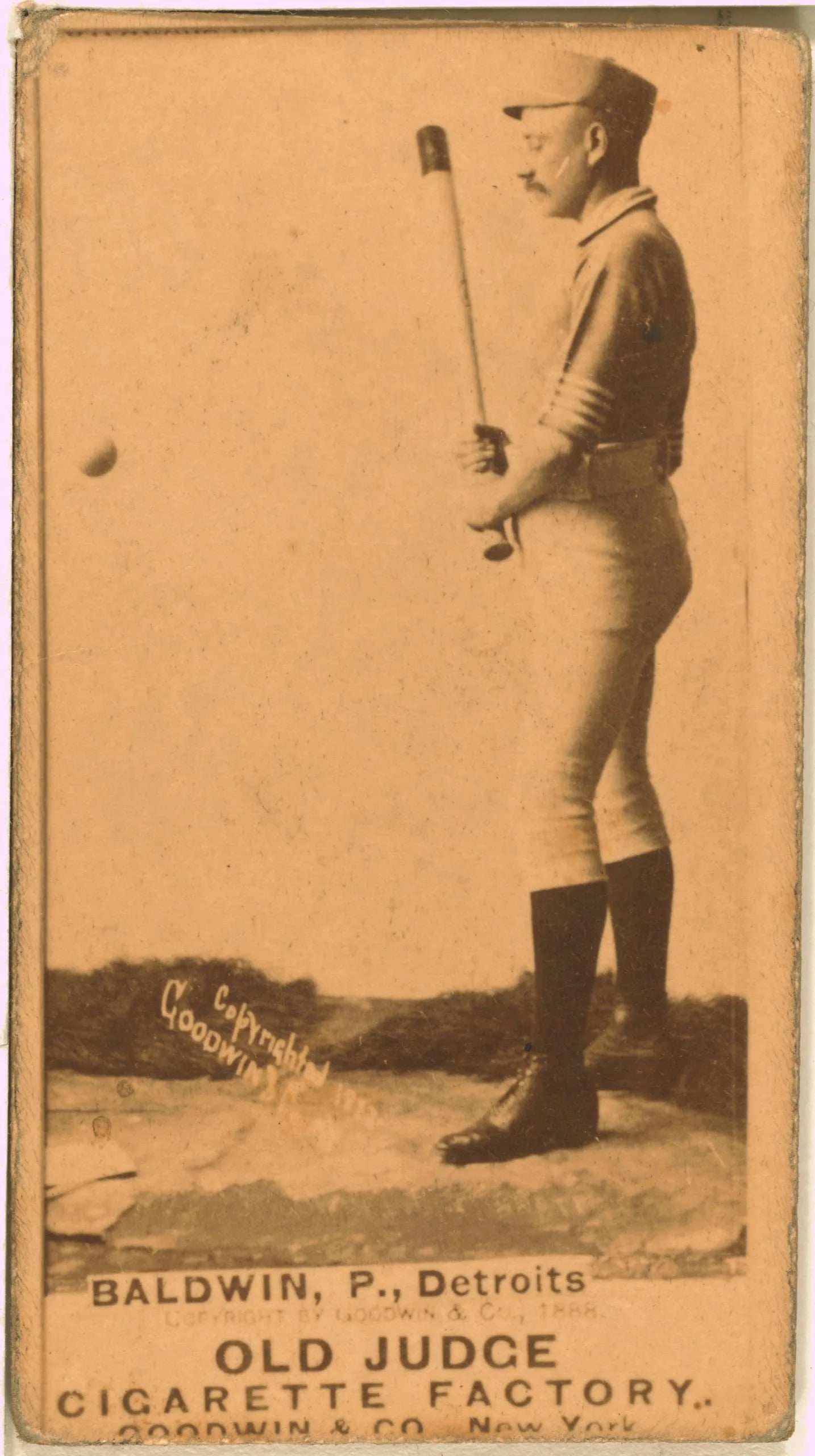 Portrait of Lady Baldwin (1859–1937) – memorial page
