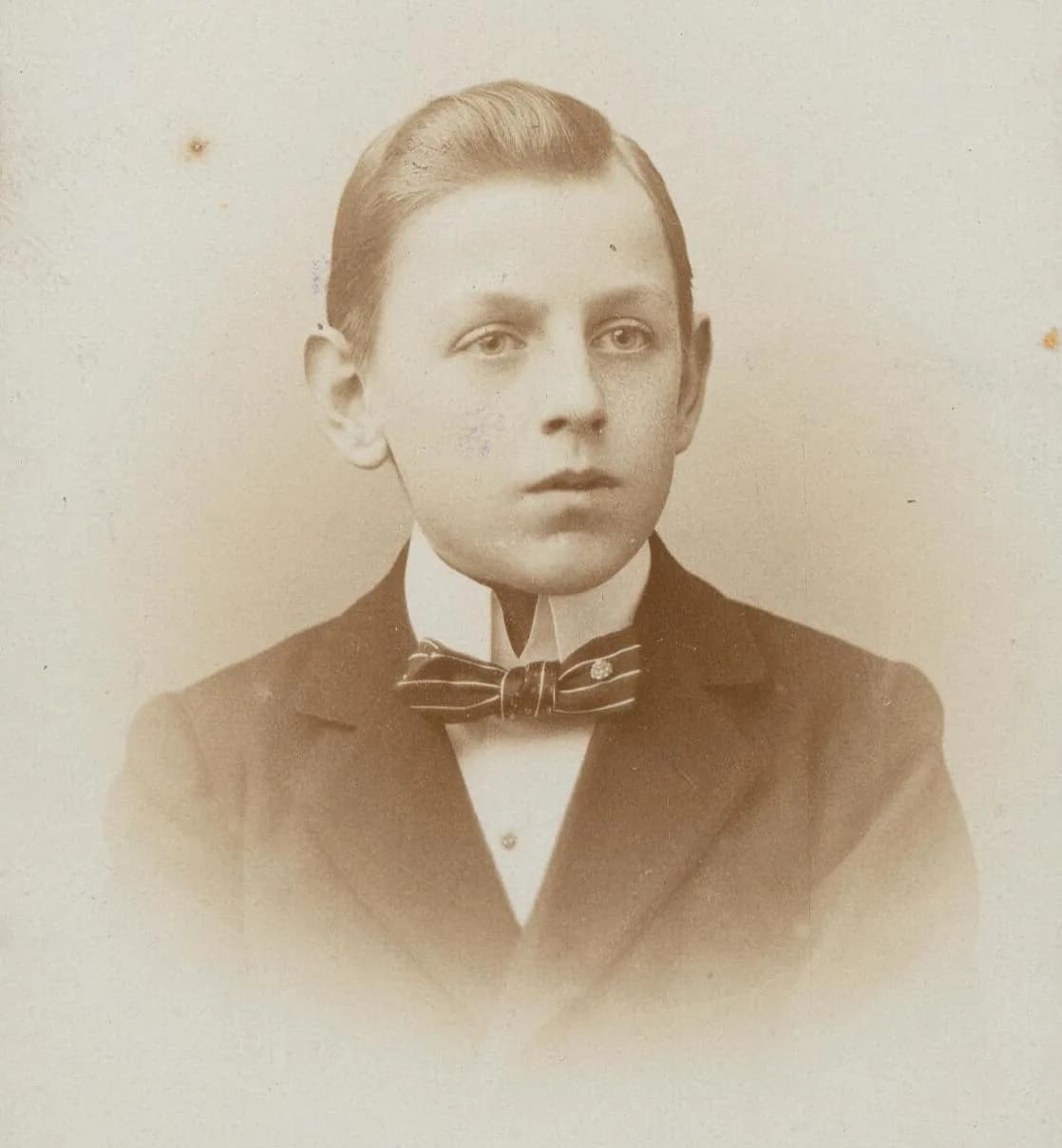Willem Henrik Emile van der Borch van Verwolde