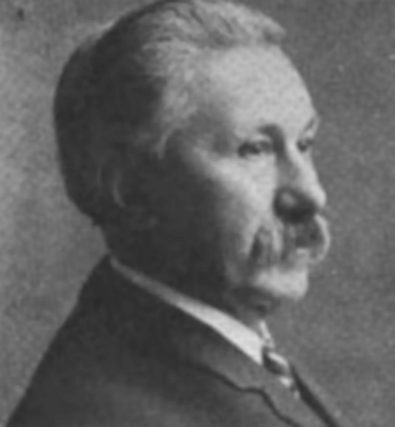 Portrait of J. H. M. Wigman (1835–1920) – memorial page