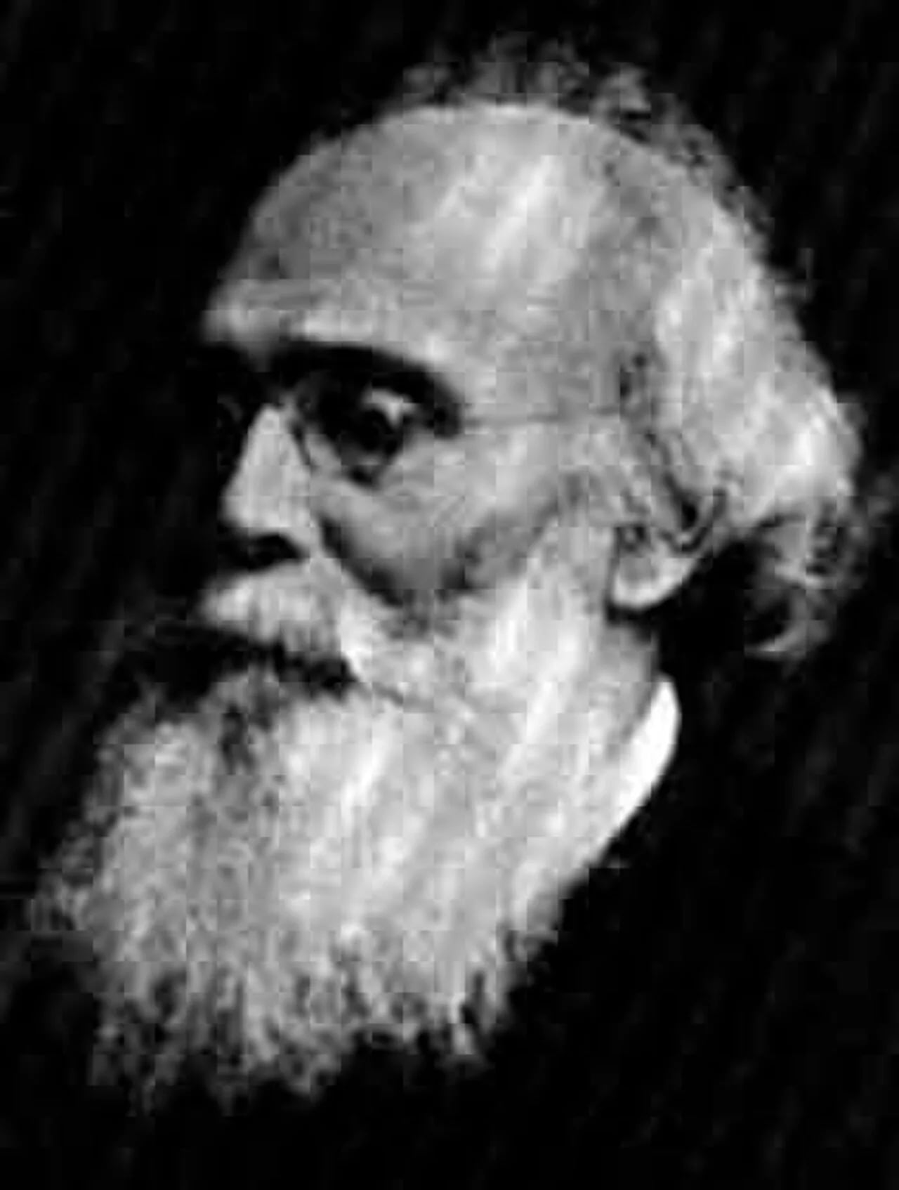 Porträt von Henry Callaway (1817–1890) – Gedenkseite