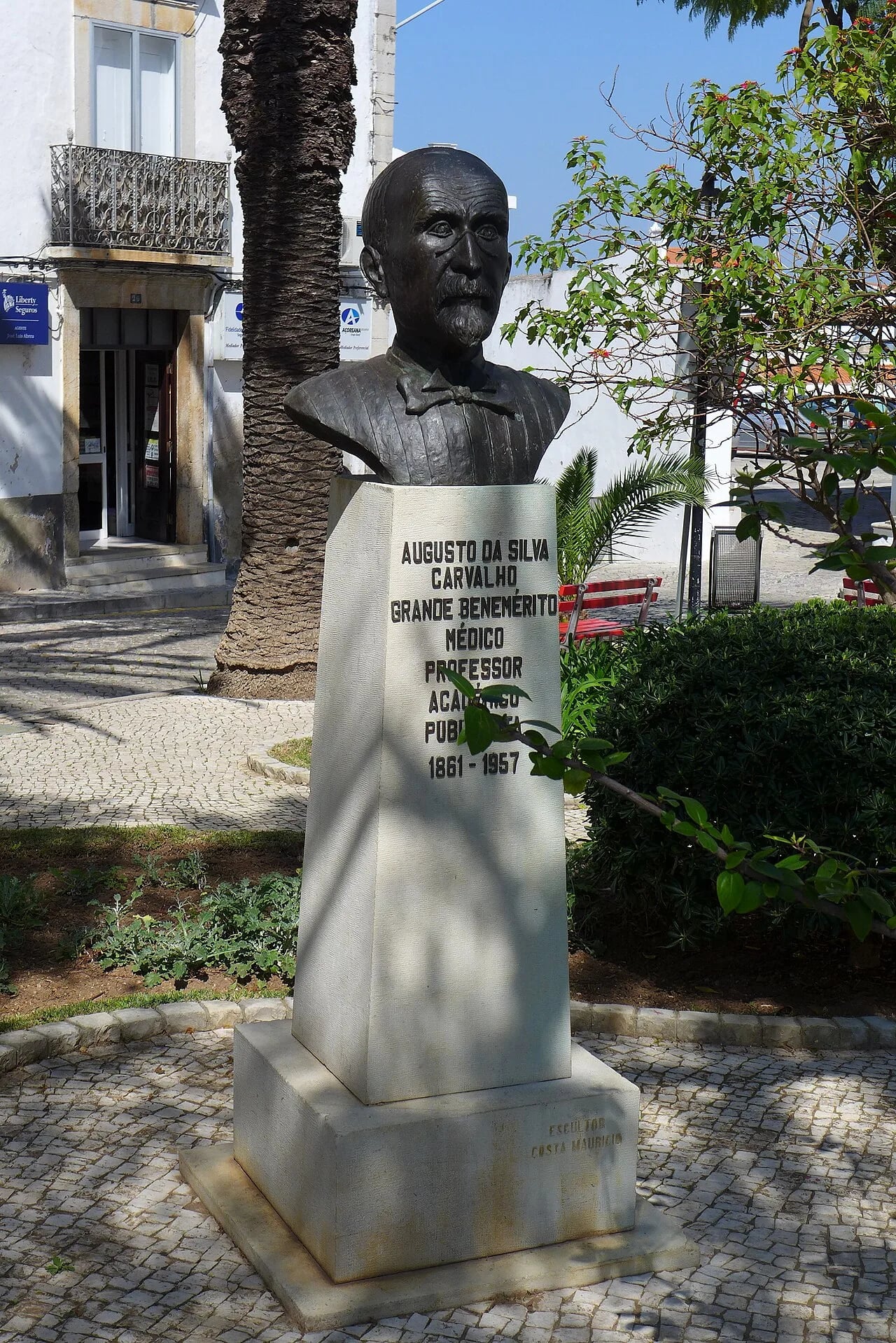 Porträt von Augusto da Silva Carvalho (1861–1957) – Gedenkseite