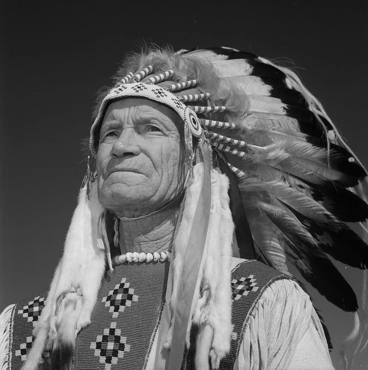 Portrait of James Gladstone (1887–1971) – memorial page
