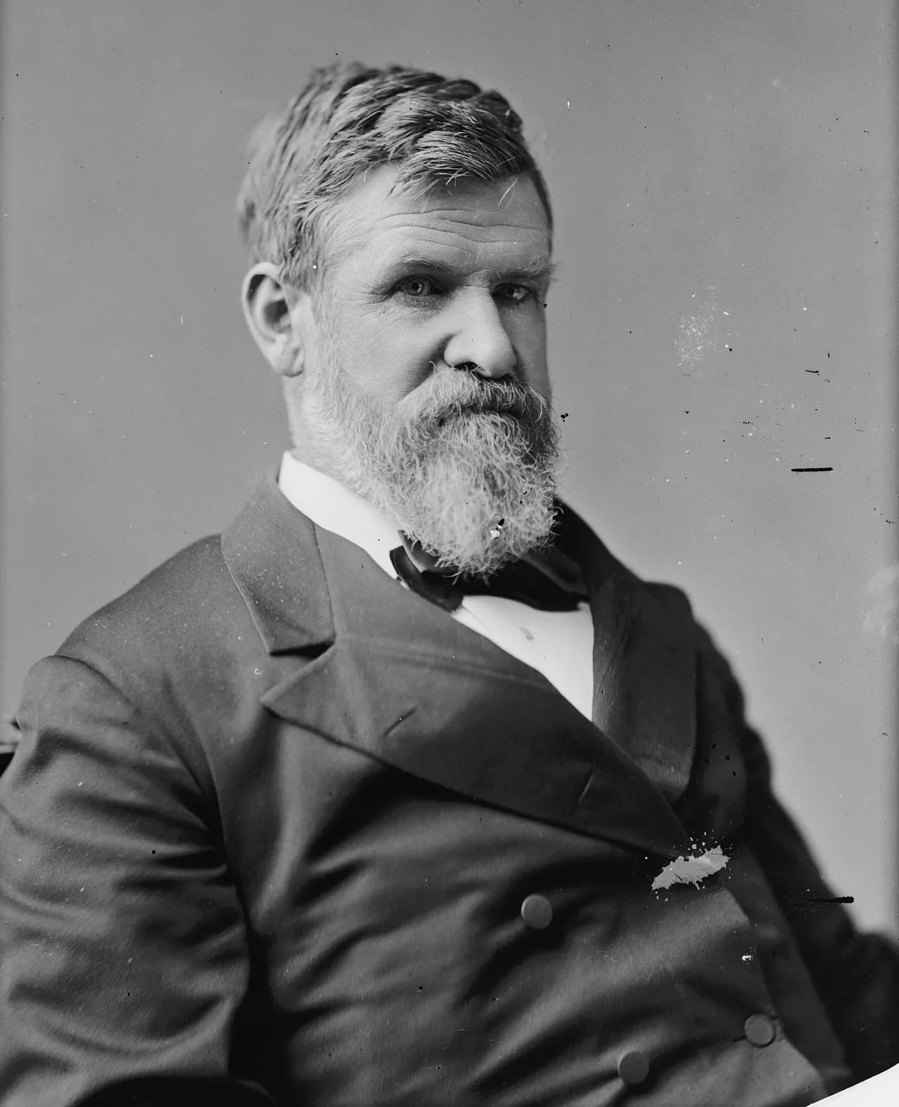 Portrait of James Williams (1825–1899) – memorial page