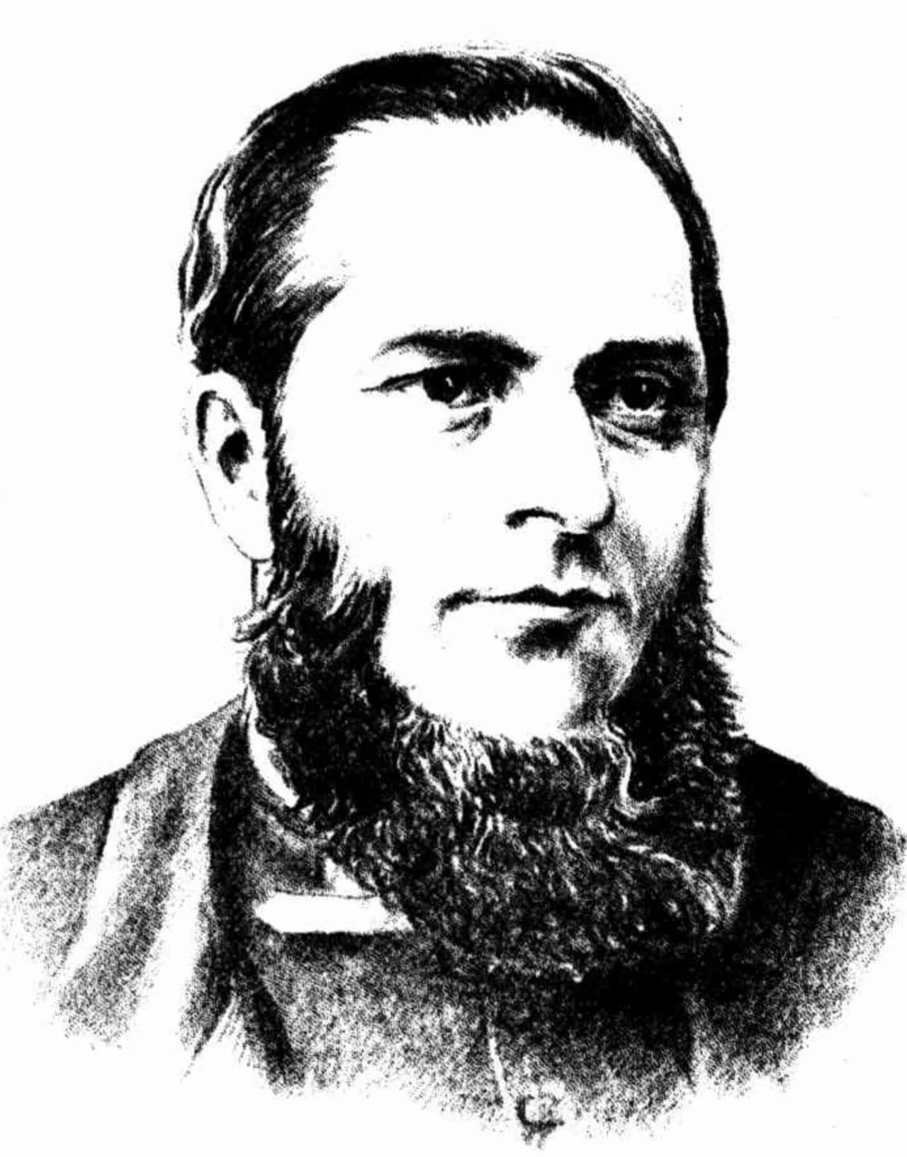 David Shearer
