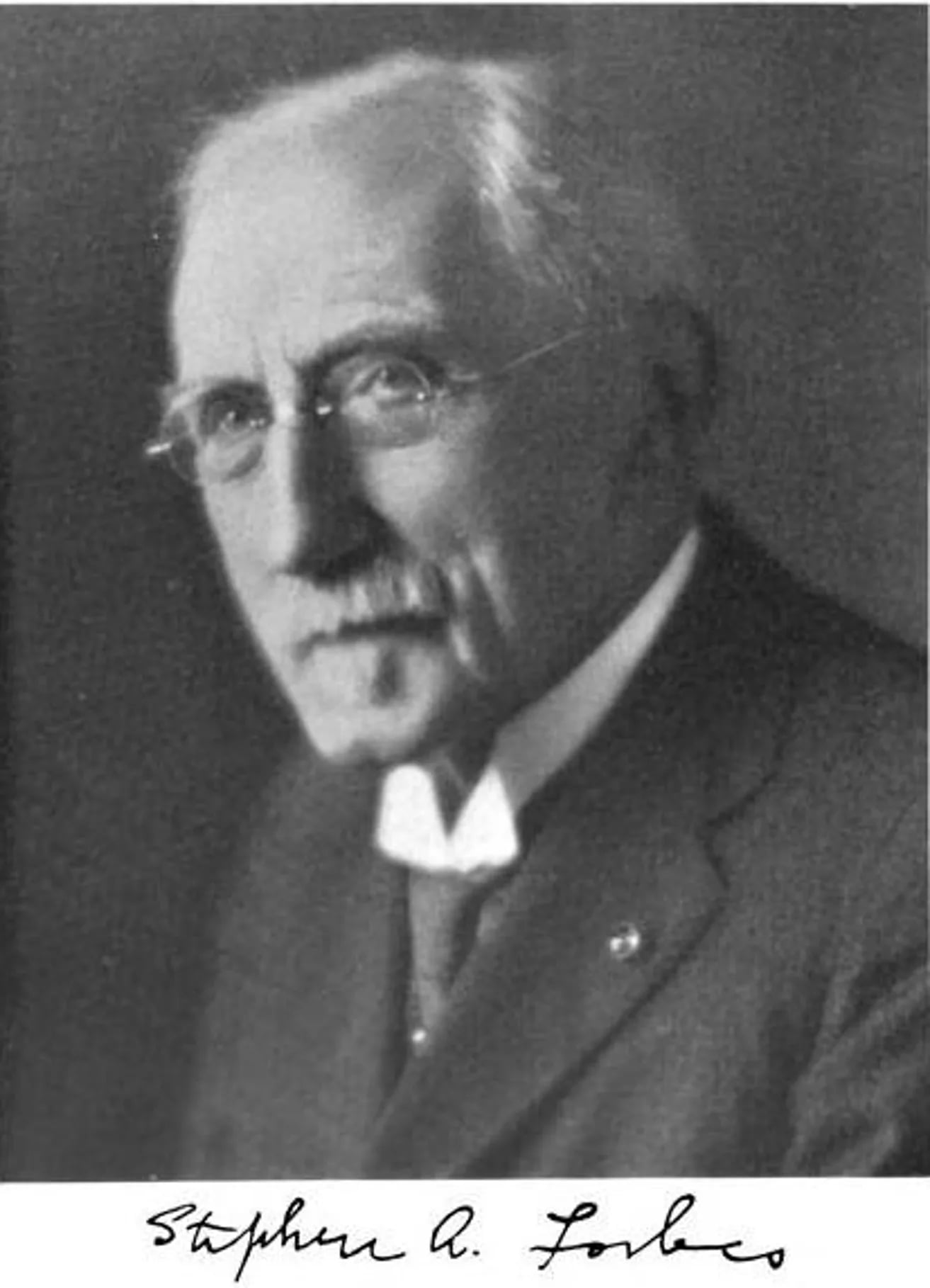 Porträt von Stephen Alfred Forbes (1844–1930) – Gedenkseite