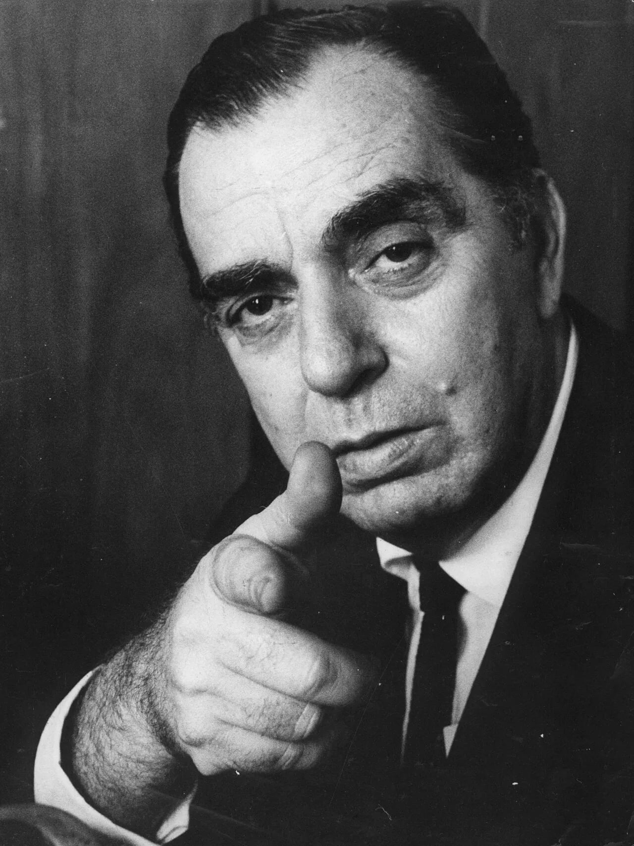 Porträt von Nelson Rodrigues (1912–1980) – Gedenkseite