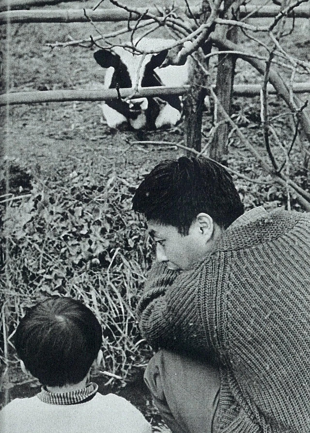 Portrait of Kunio Komatsuzaki (1931–1992) – memorial page