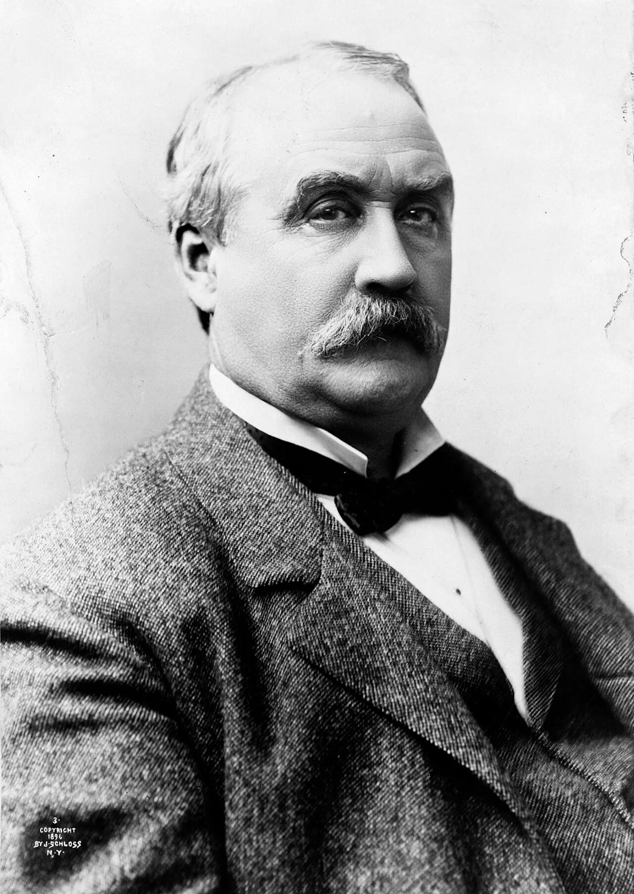 Portrait of Warner Miller (1838–1918) – memorial page