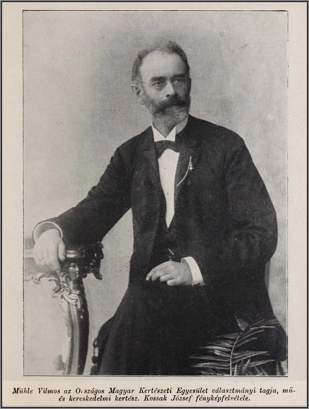 Portrait of Wilhelm Mühle (1845–1908) – memorial page