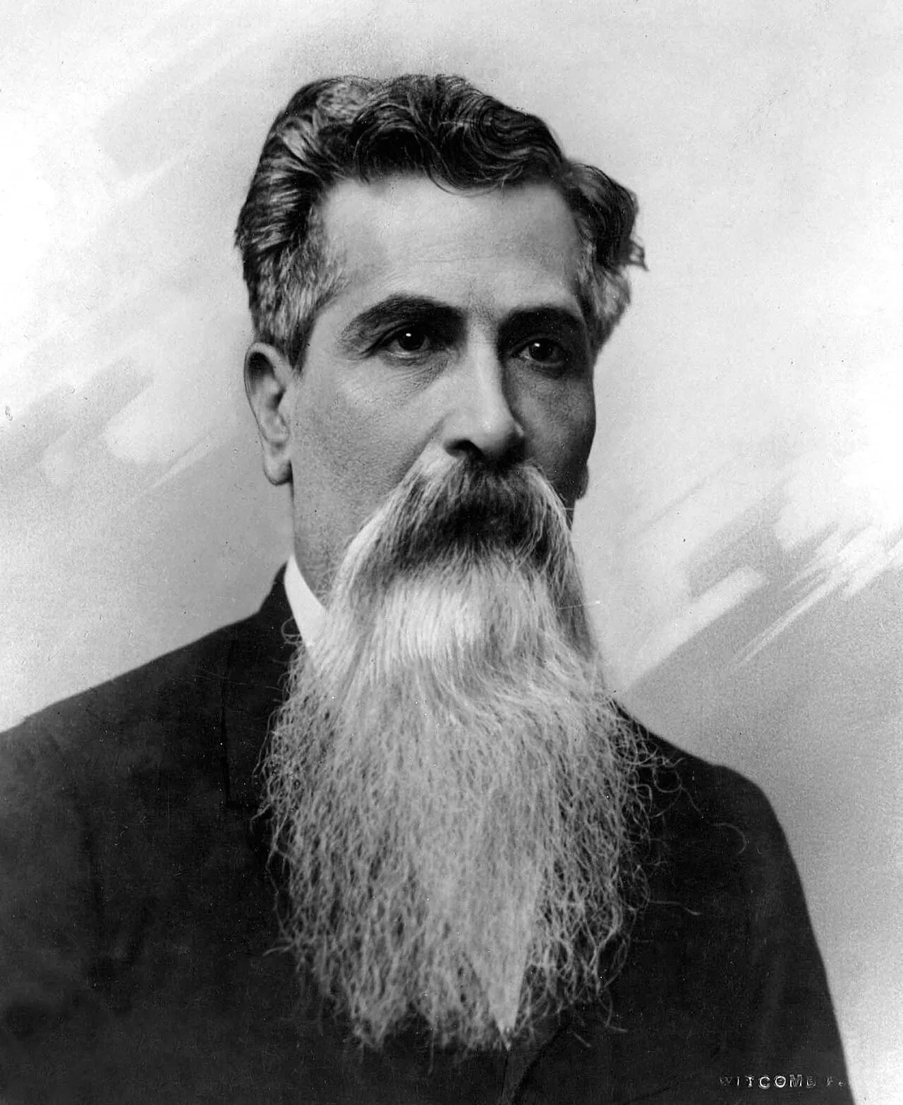 Portrait of Leandro N. Alem (1842–1896) – memorial page