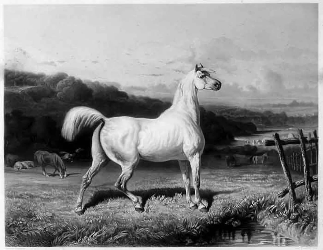 Portrait of Amédée Varin (1818–1883) – memorial page