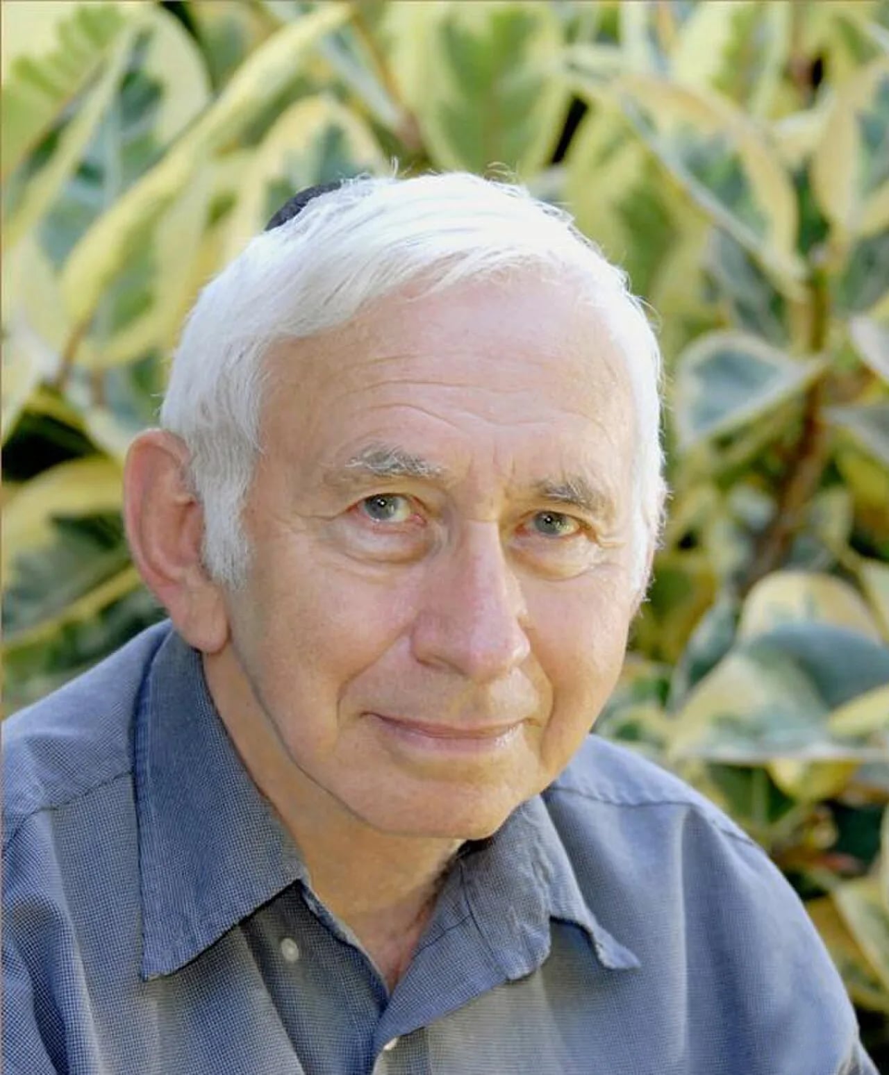Portrait of Benjamin Fain (1930–2013) – memorial page