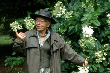 Porträt von Jelena de Belder-Kovačič (1925–2003) – Gedenkseite