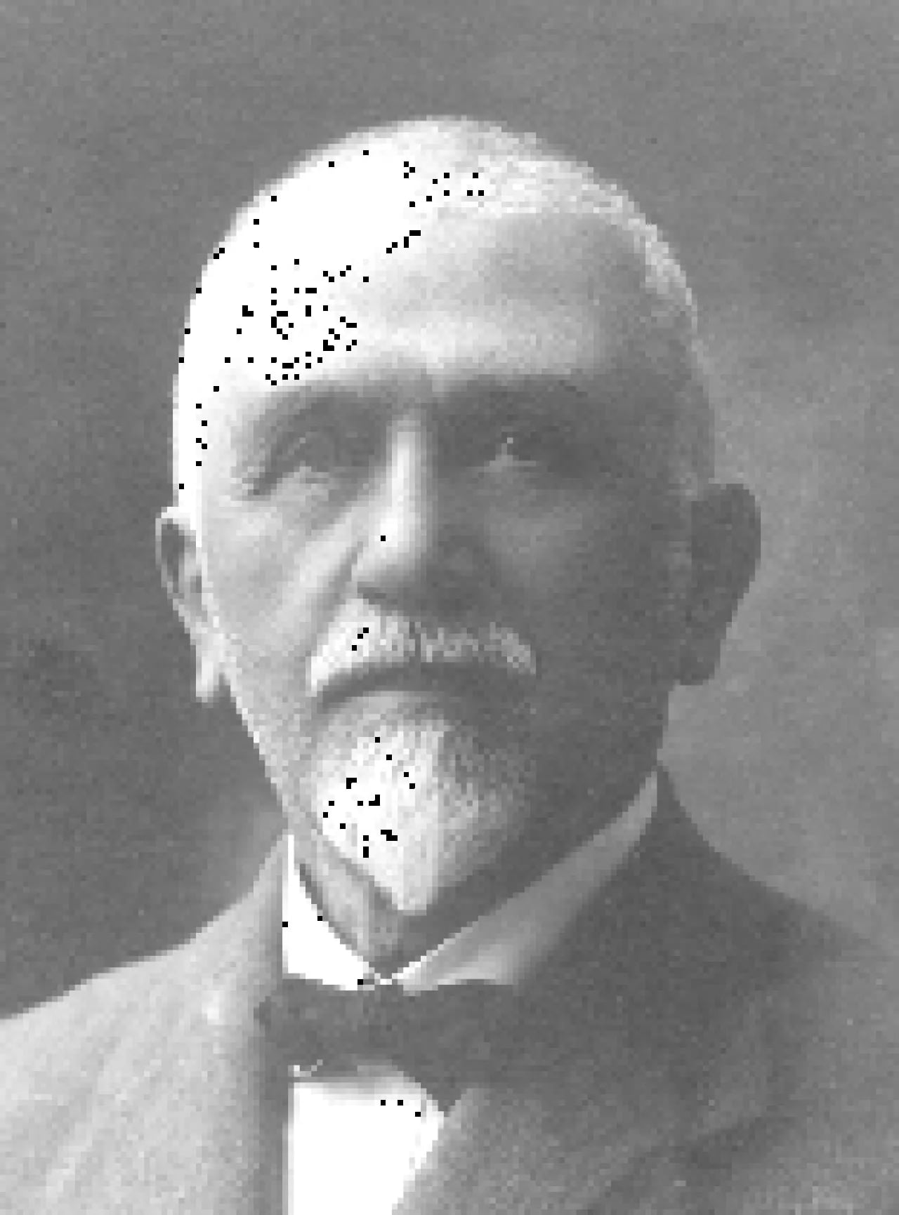 Portrait of Alfredo Bertesi (1851–1923) – memorial page