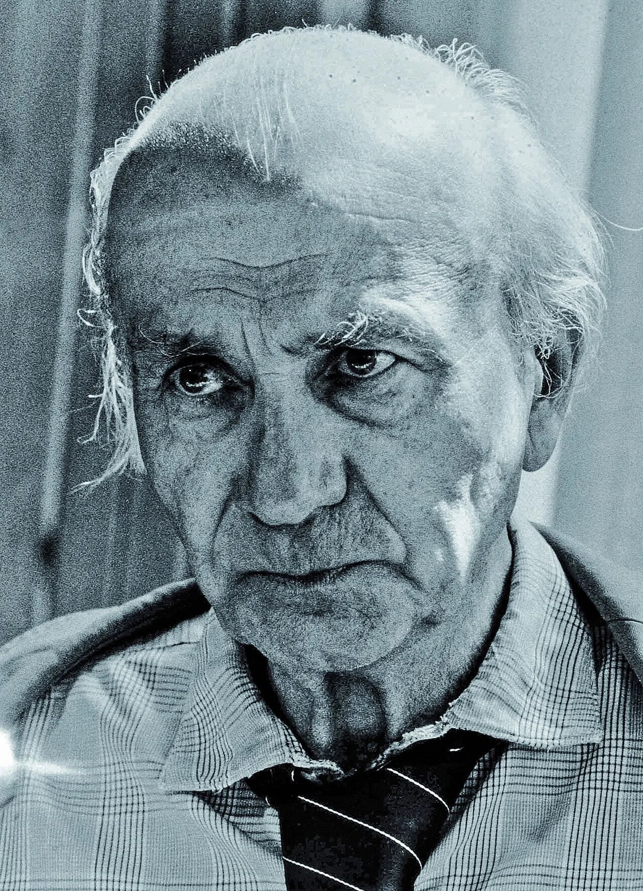 Porträt von Gyula Illyés (1902–1983) – Gedenkseite