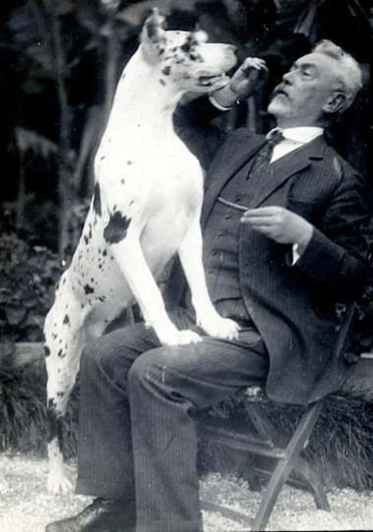 Portrait of Vincenzo Ferniani (1871–1966) – memorial page