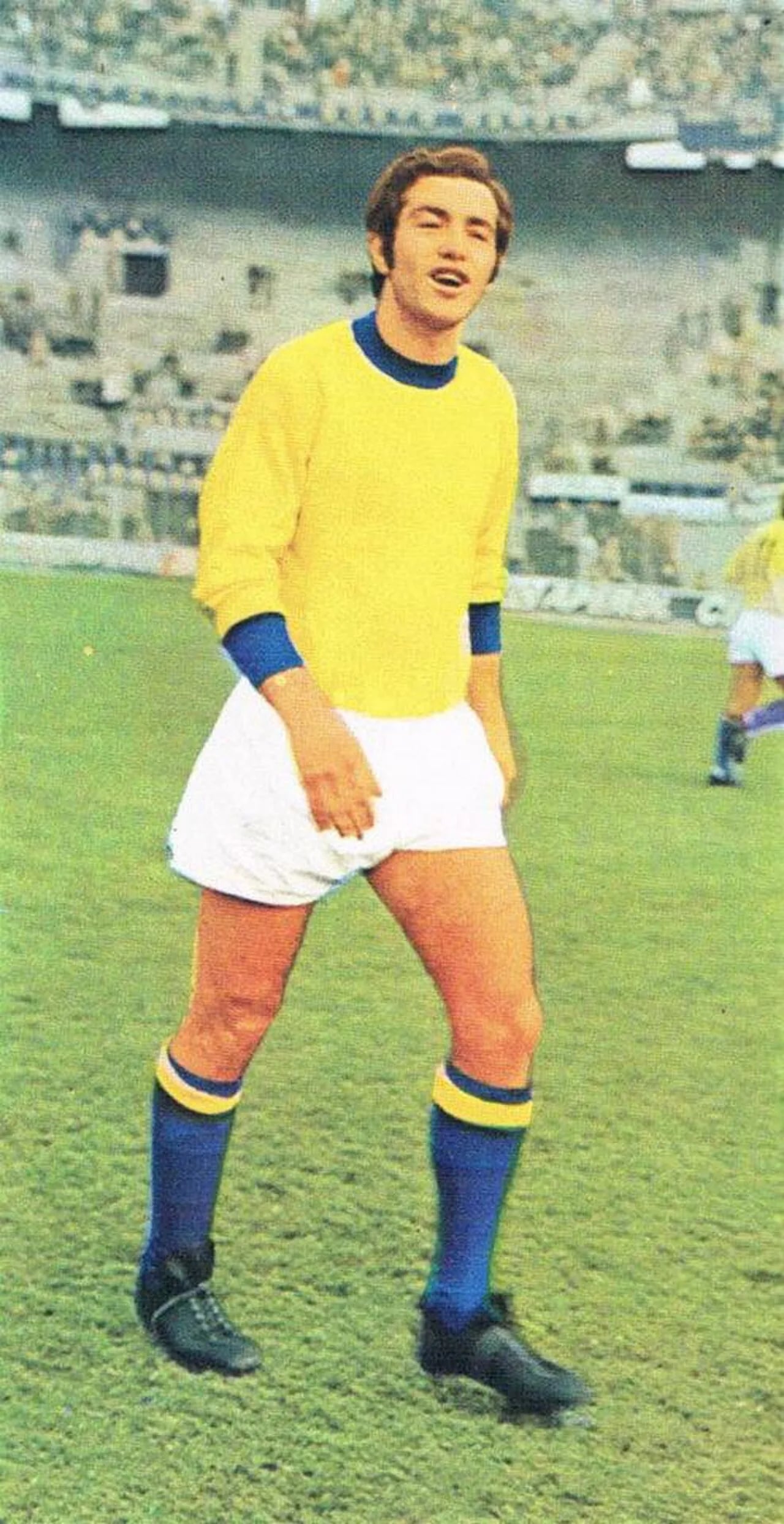 Portrait of Vito D'Amato (1944–2025) – memorial page