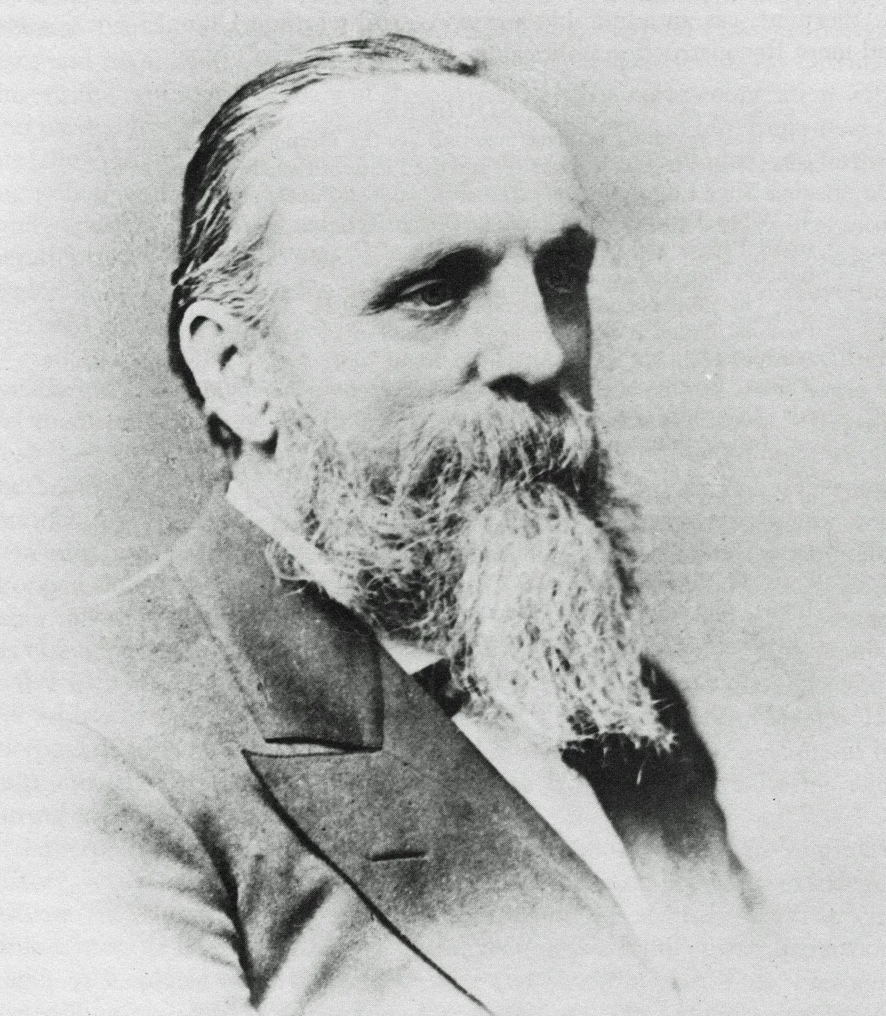 Portrait of Henry H. Wells (1823–1900) – memorial page
