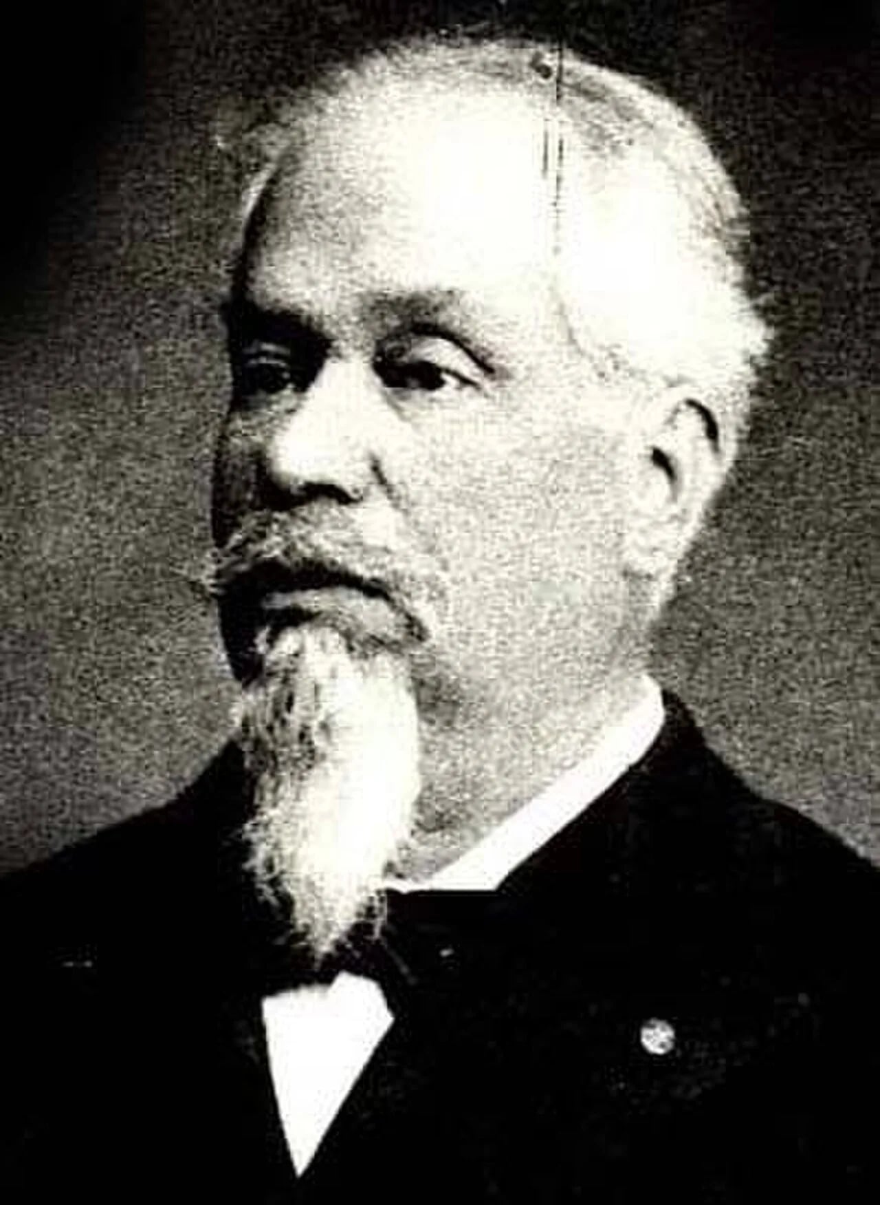 Portrait of Alexandru Papadopol-Calimah (1833–1898) – memorial page
