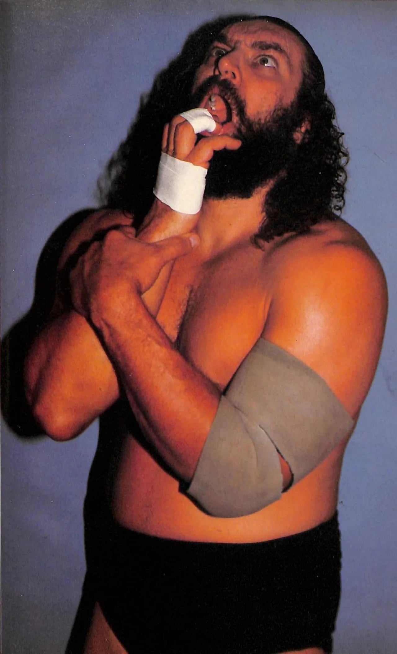 Portrait of Bruiser Brody (1946–1988) – memorial page