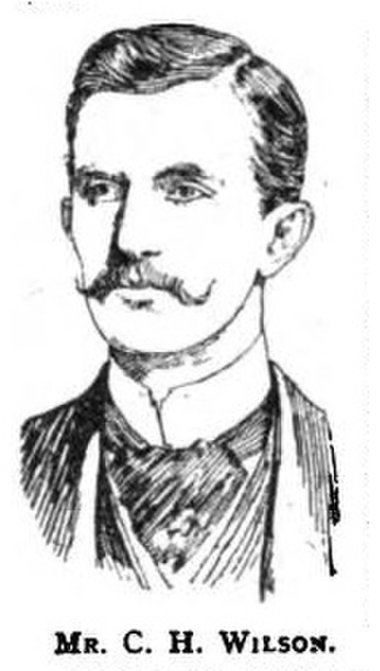 Portrait of Charles Wilson, 2nd Baron Nunburnholme (1875–1924) – memorial page