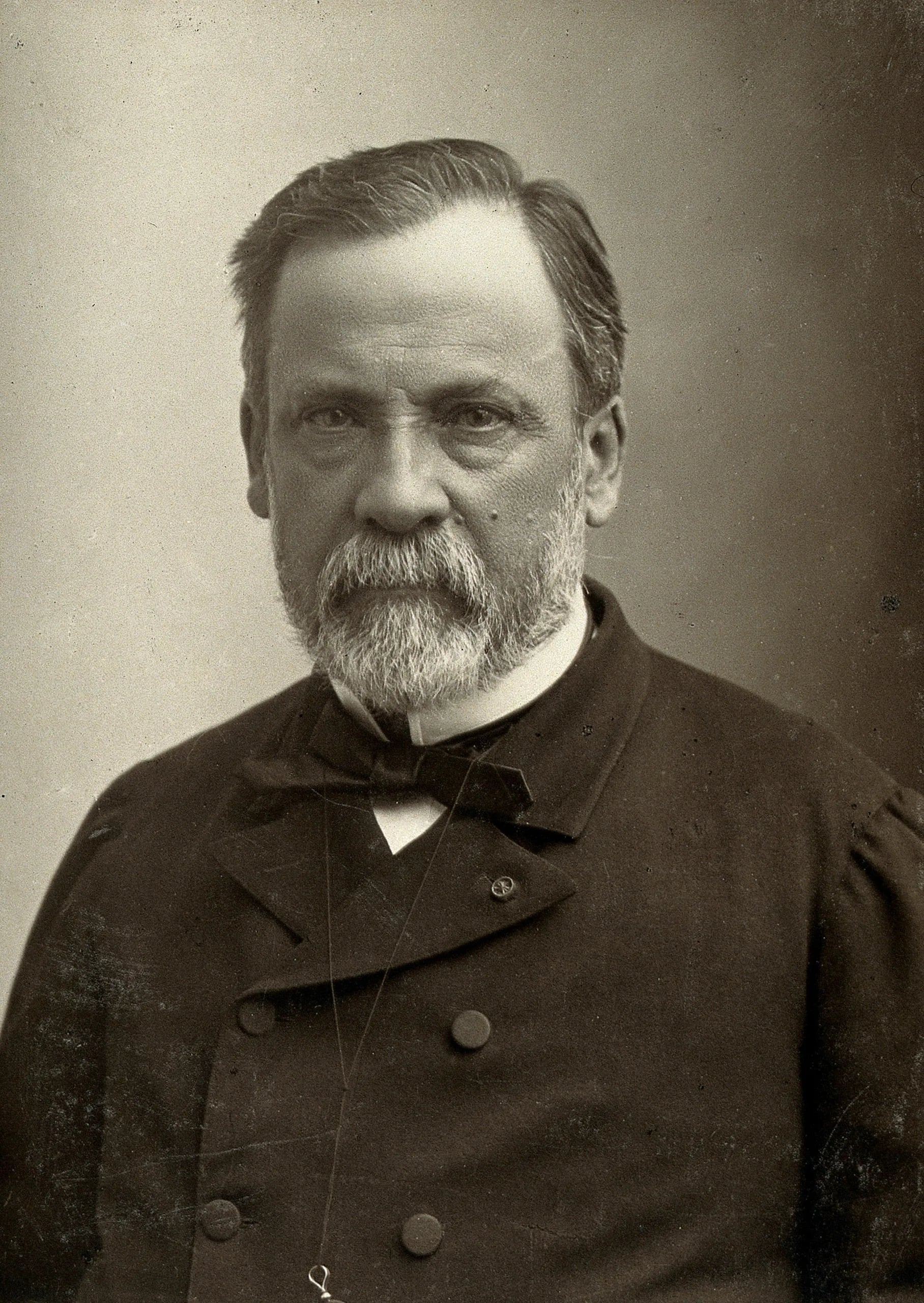 Portrait of Louis Pasteur (1822–1895) – memorial page
