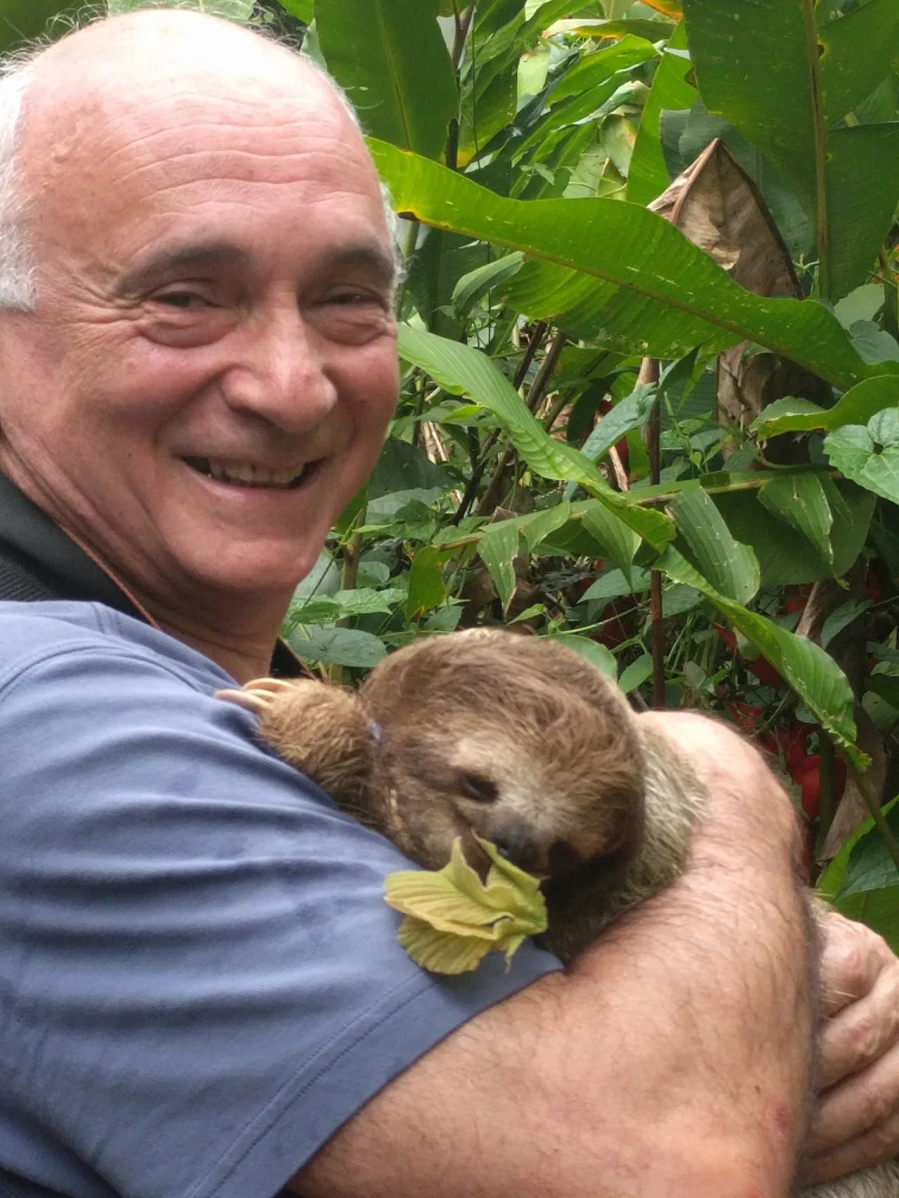 Portrait of Alexander Bogomolny (1948–2018) – memorial page