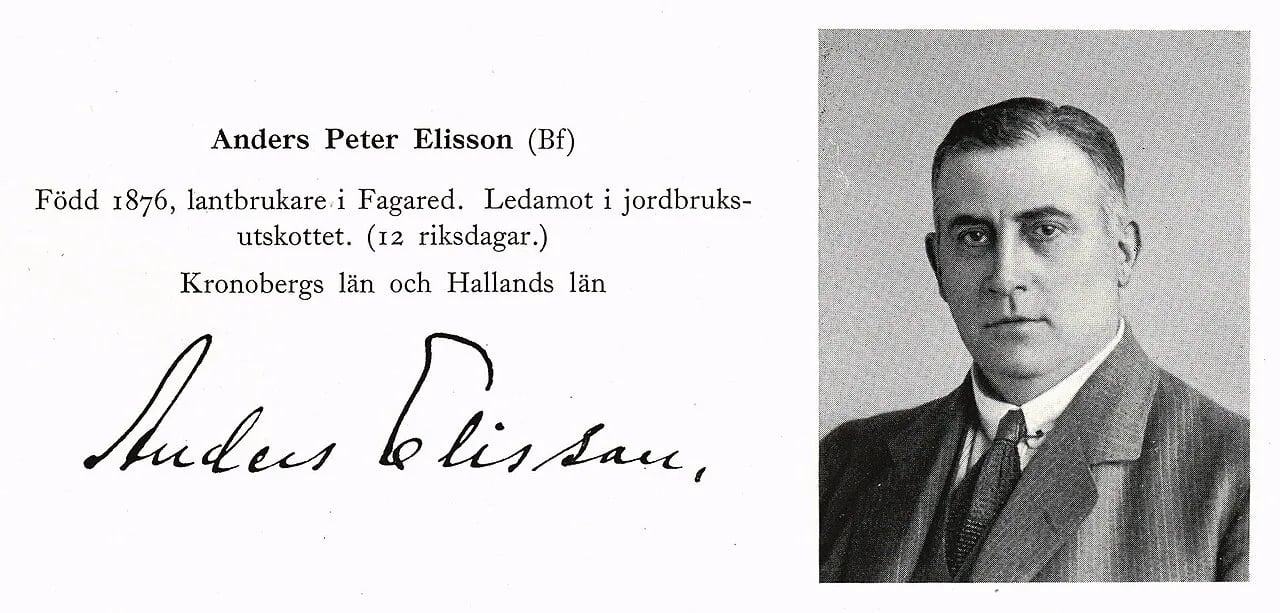 Porträt von Anders Elisson (1876–1928) – Gedenkseite