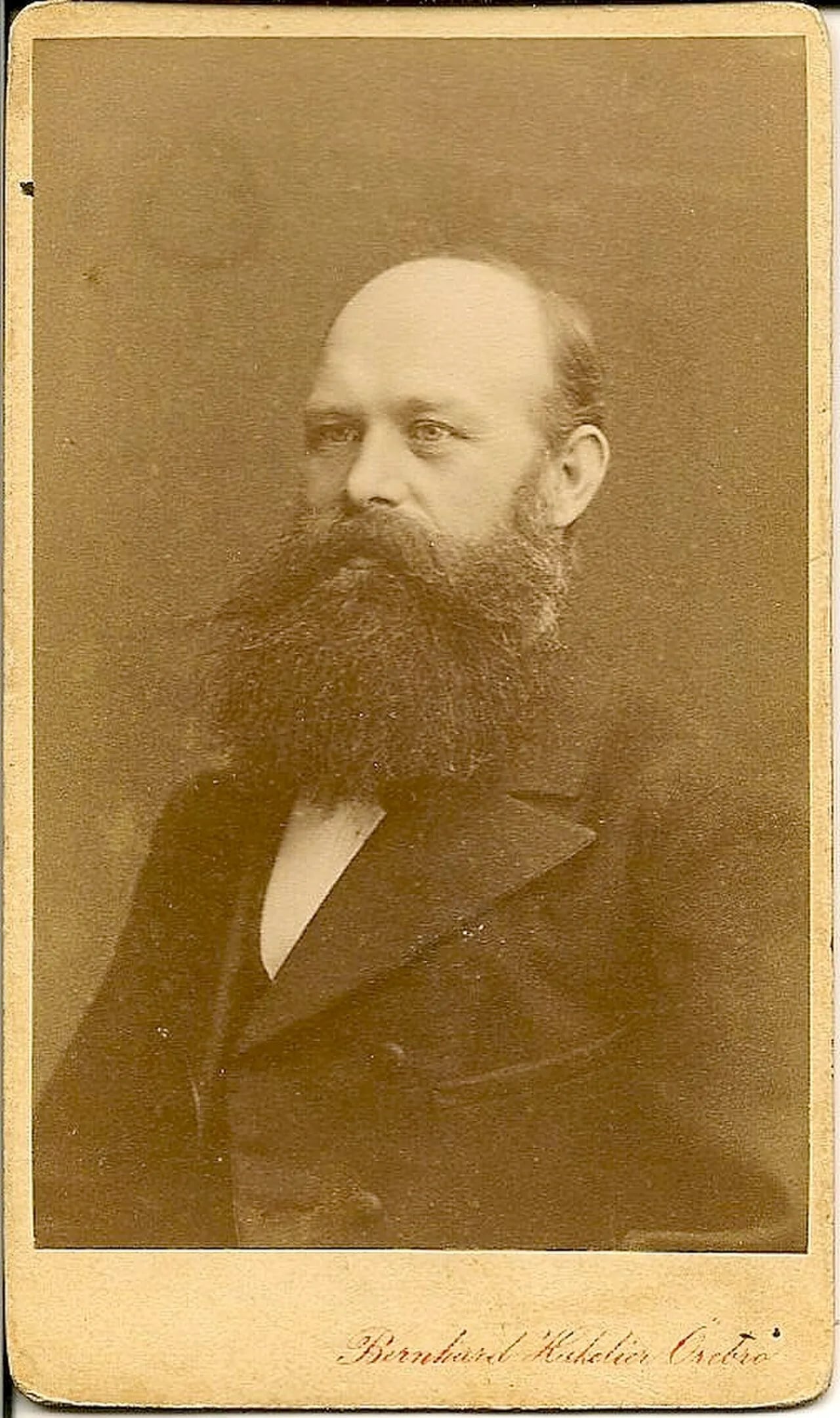 Porträt von Henrik Halldin (1834–1927) – Gedenkseite