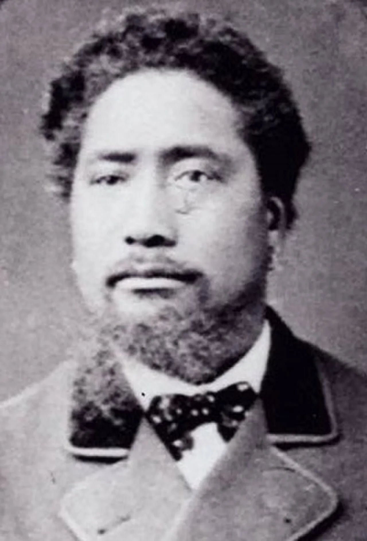 Portrait of Hoani Nahi (1833–1894) – memorial page