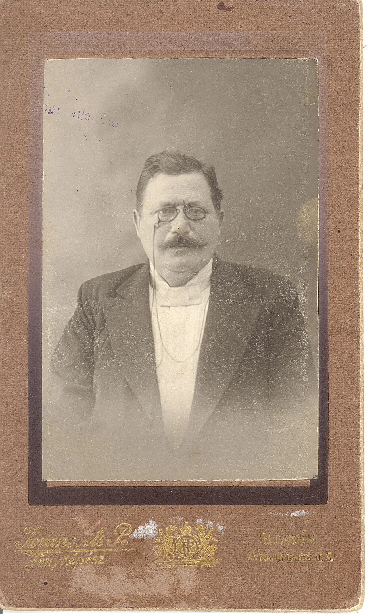 Portrait of Milan Jovanović (1849–1935) – memorial page