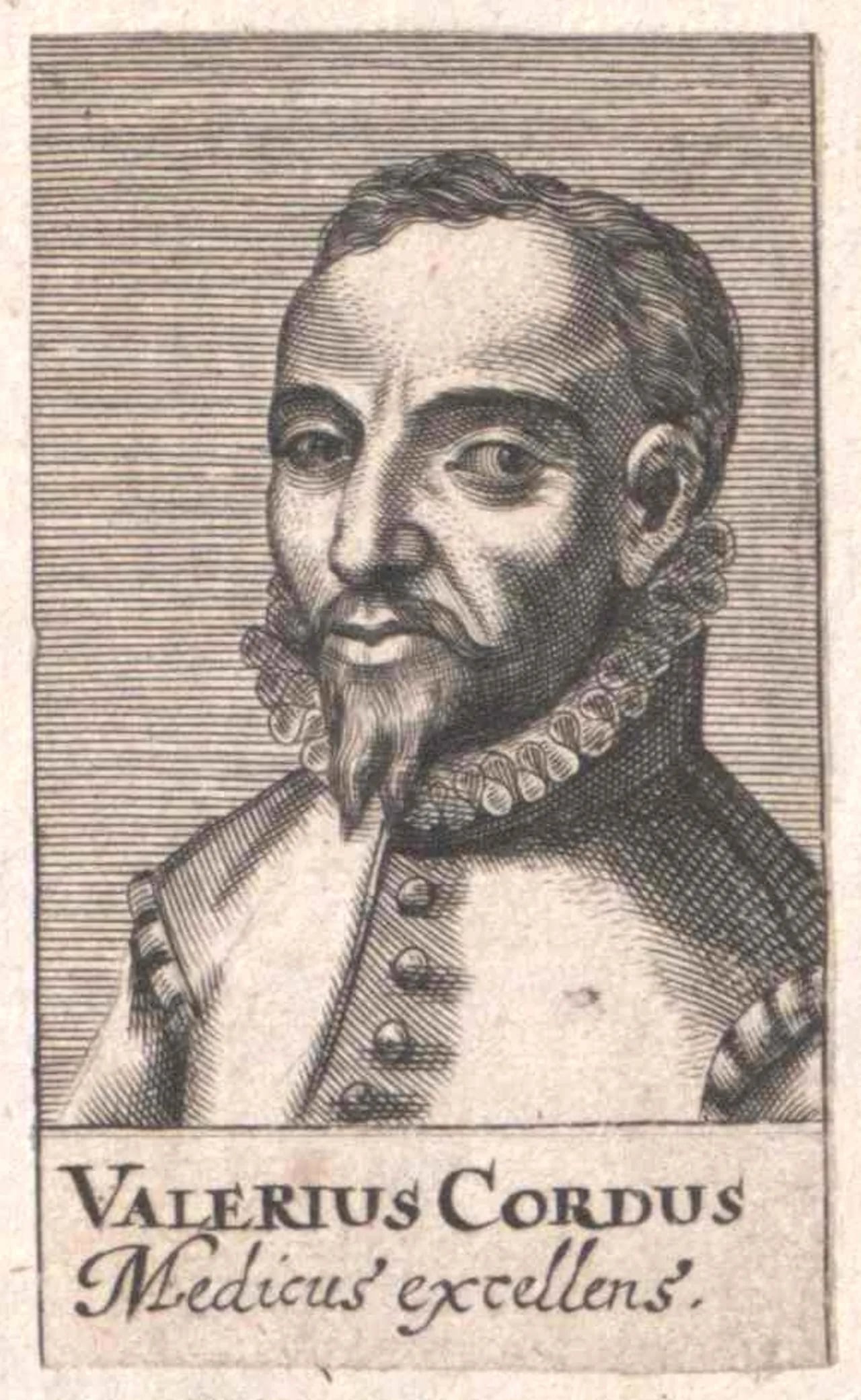 Porträt von Valerius Cordus (1515–1544) – Gedenkseite