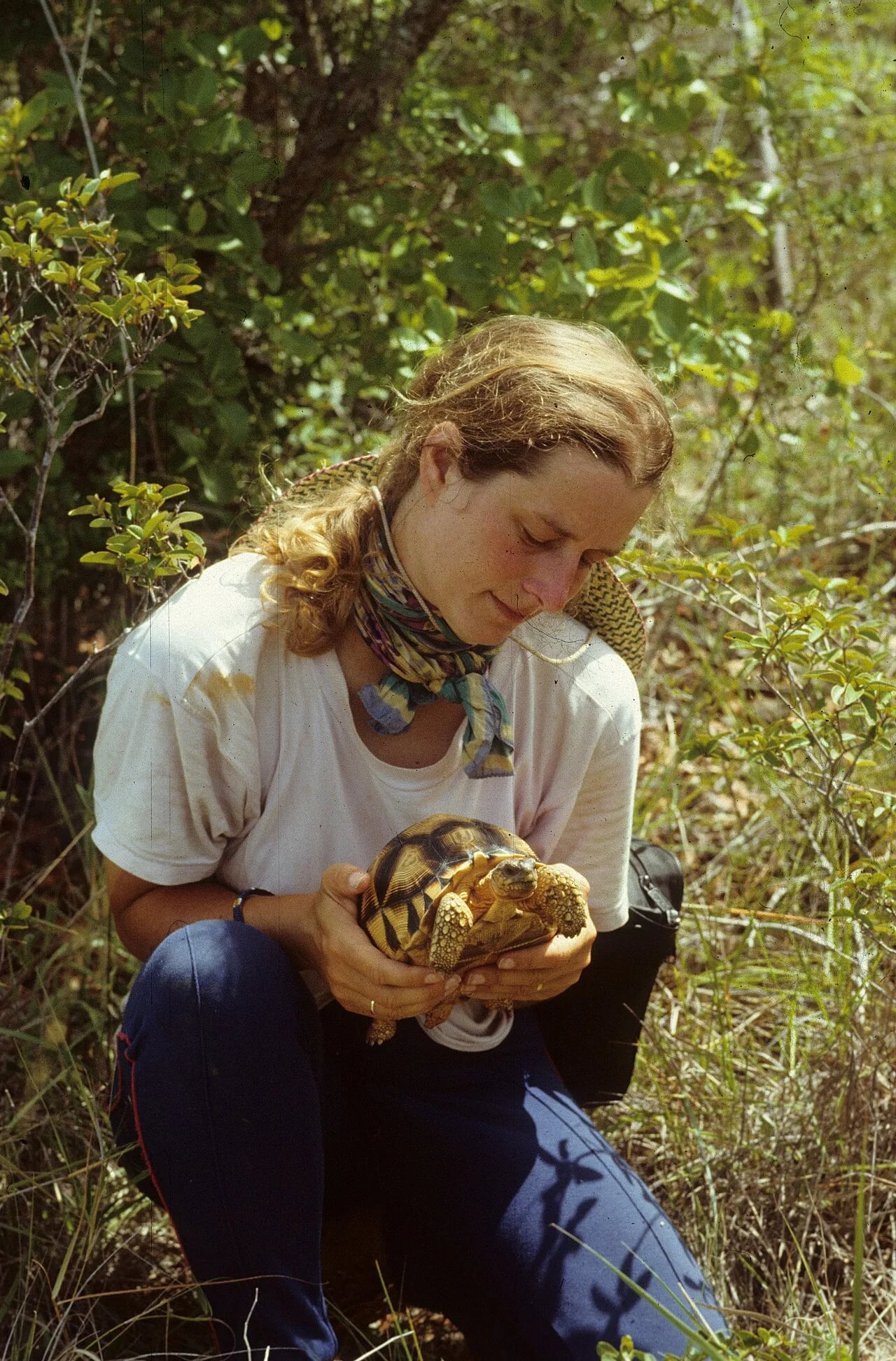 Portrait of Liz Howe (1959–2019) – memorial page