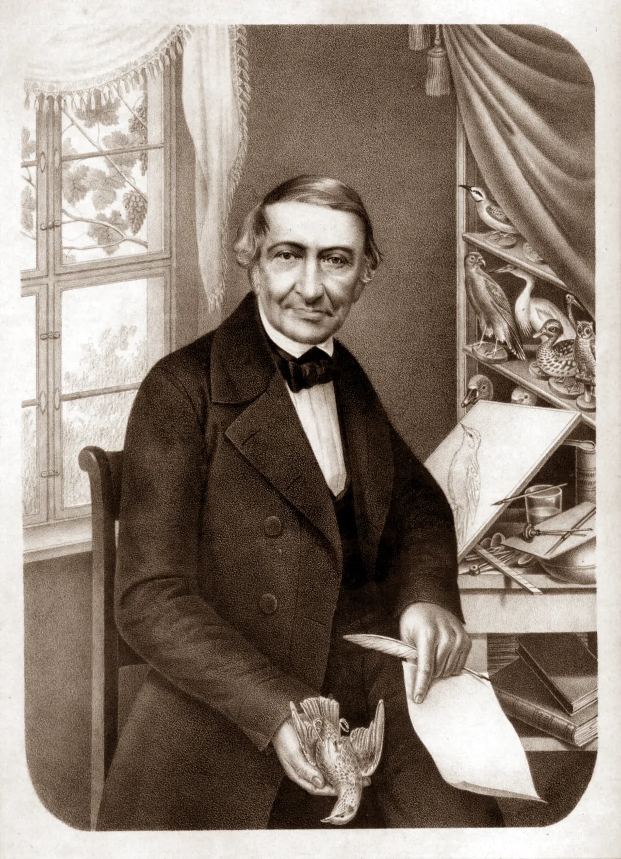 Portrait of Johann Friedrich Naumann (1780–1857) – memorial page