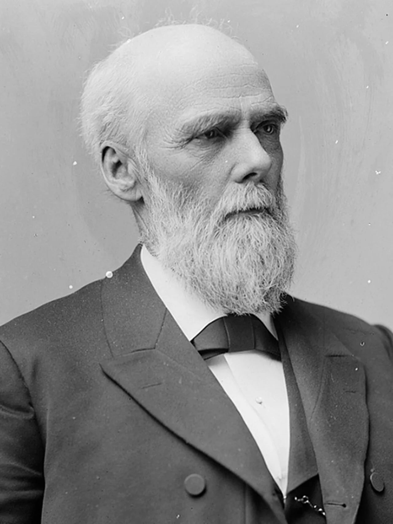 Porträt von Lewis Steward (1824–1896) – Gedenkseite