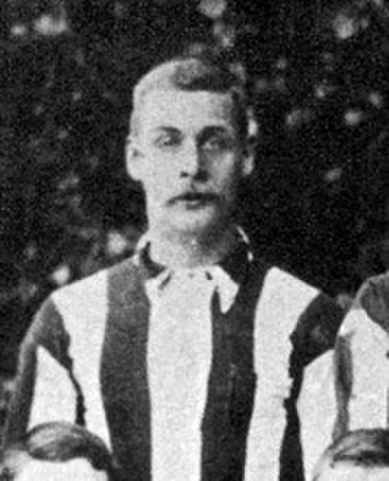 Portrait of Fay Harper (1866–1950) – memorial page